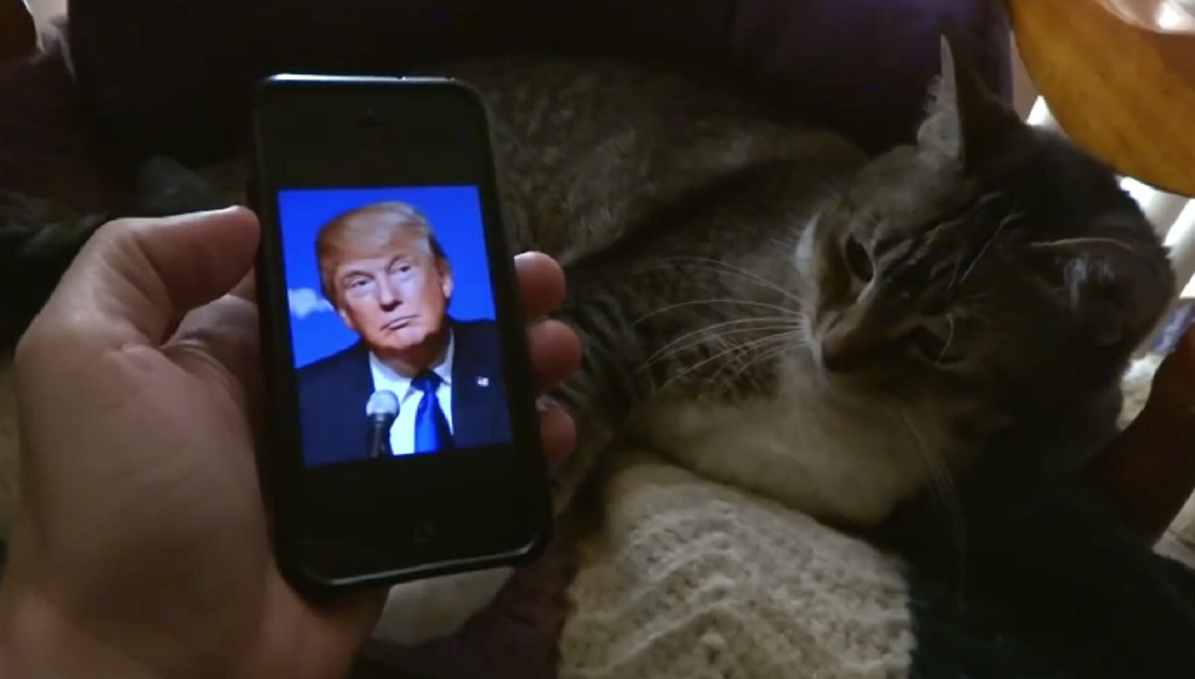 El gato escaldado que huye de Donald Trump