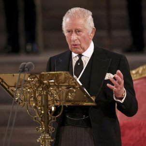 Carles III, petició a Harry i Guillem per als seus últims anys de vida