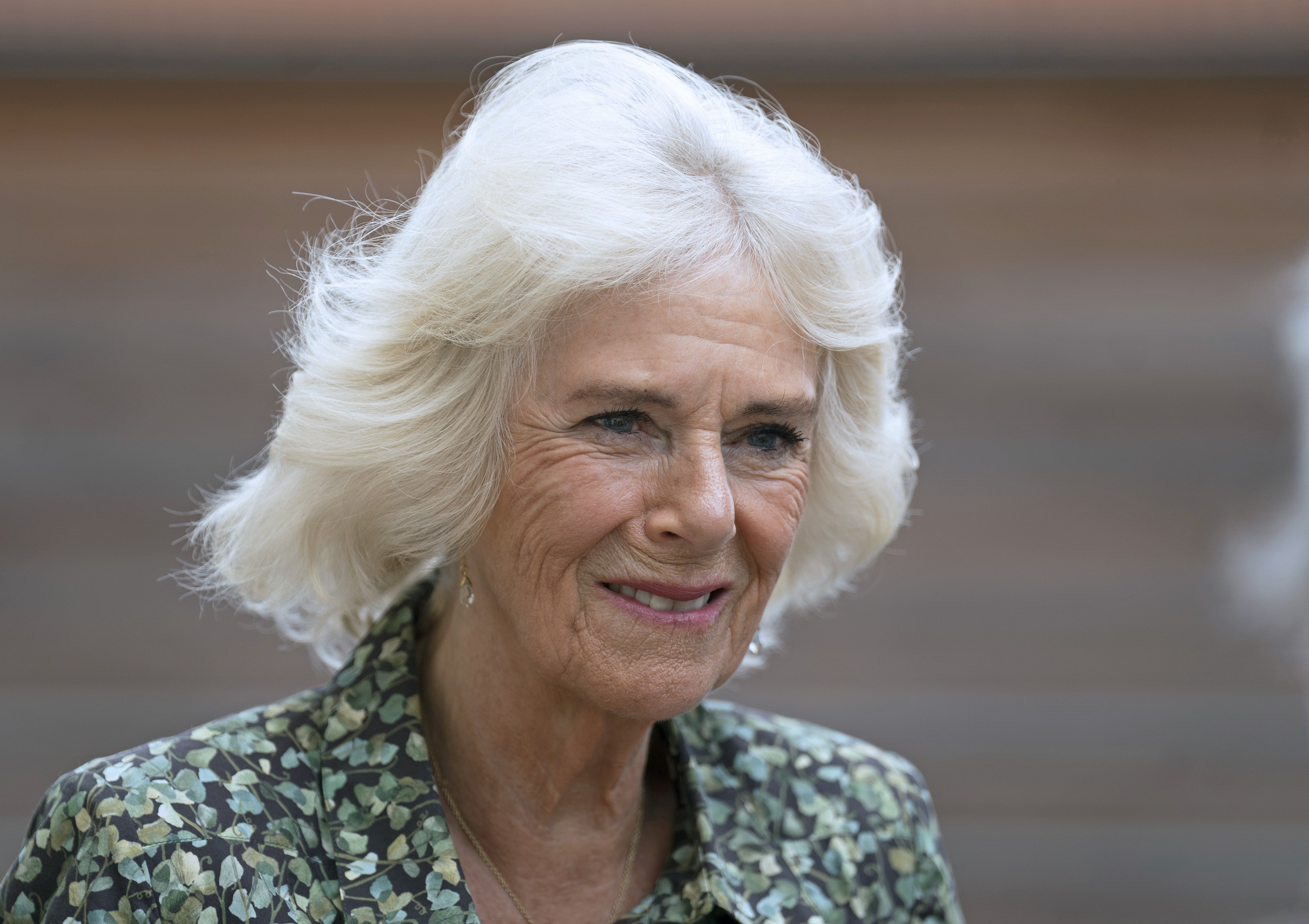 Camilla Parker-Bowles, revenja en marxa, es 'carrega' l'amiga de Lady Di, l'adorava