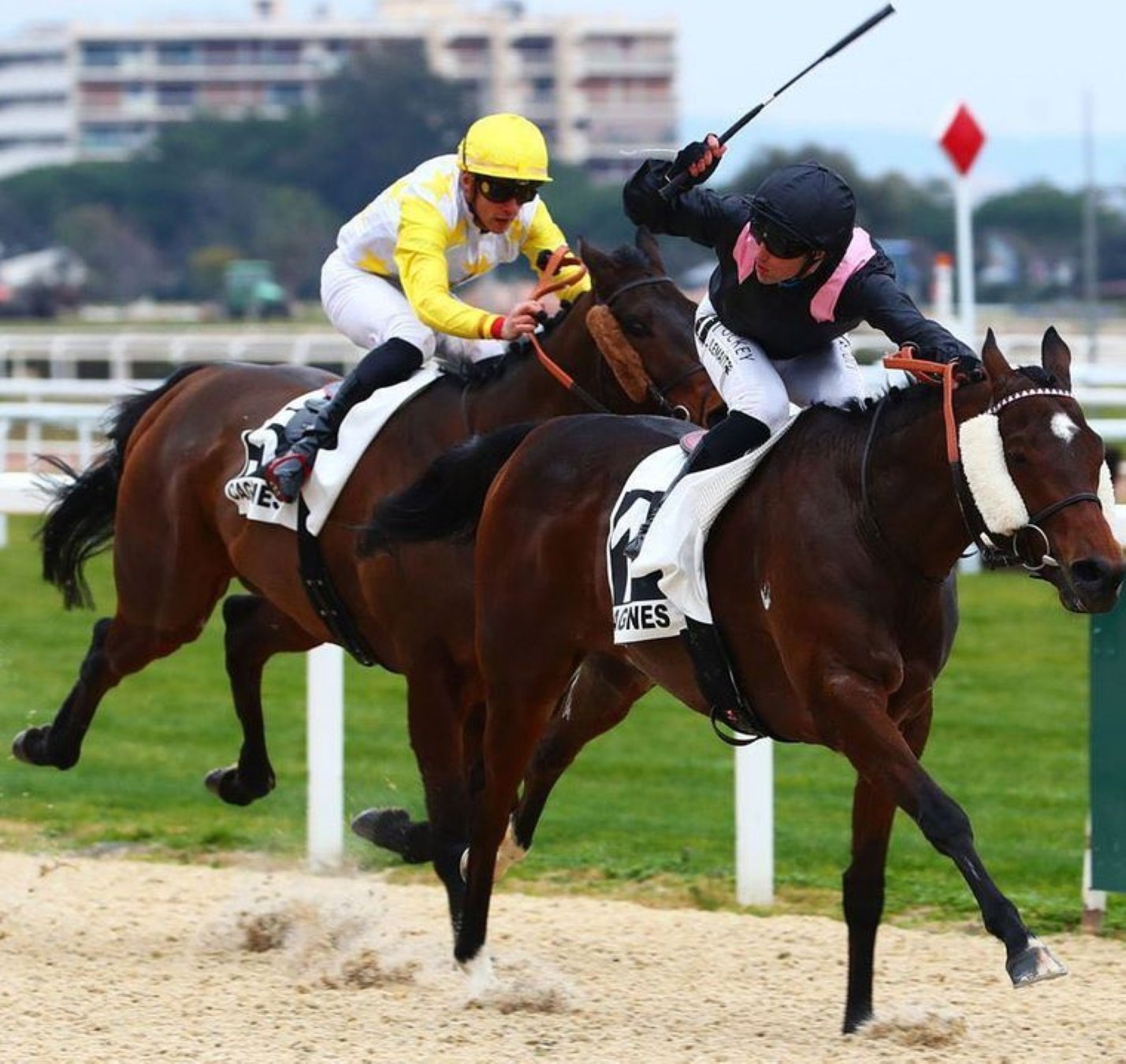 Salió mal del Barça y ahora triunfa en el hipódromo: una pasión que mueve fortunas