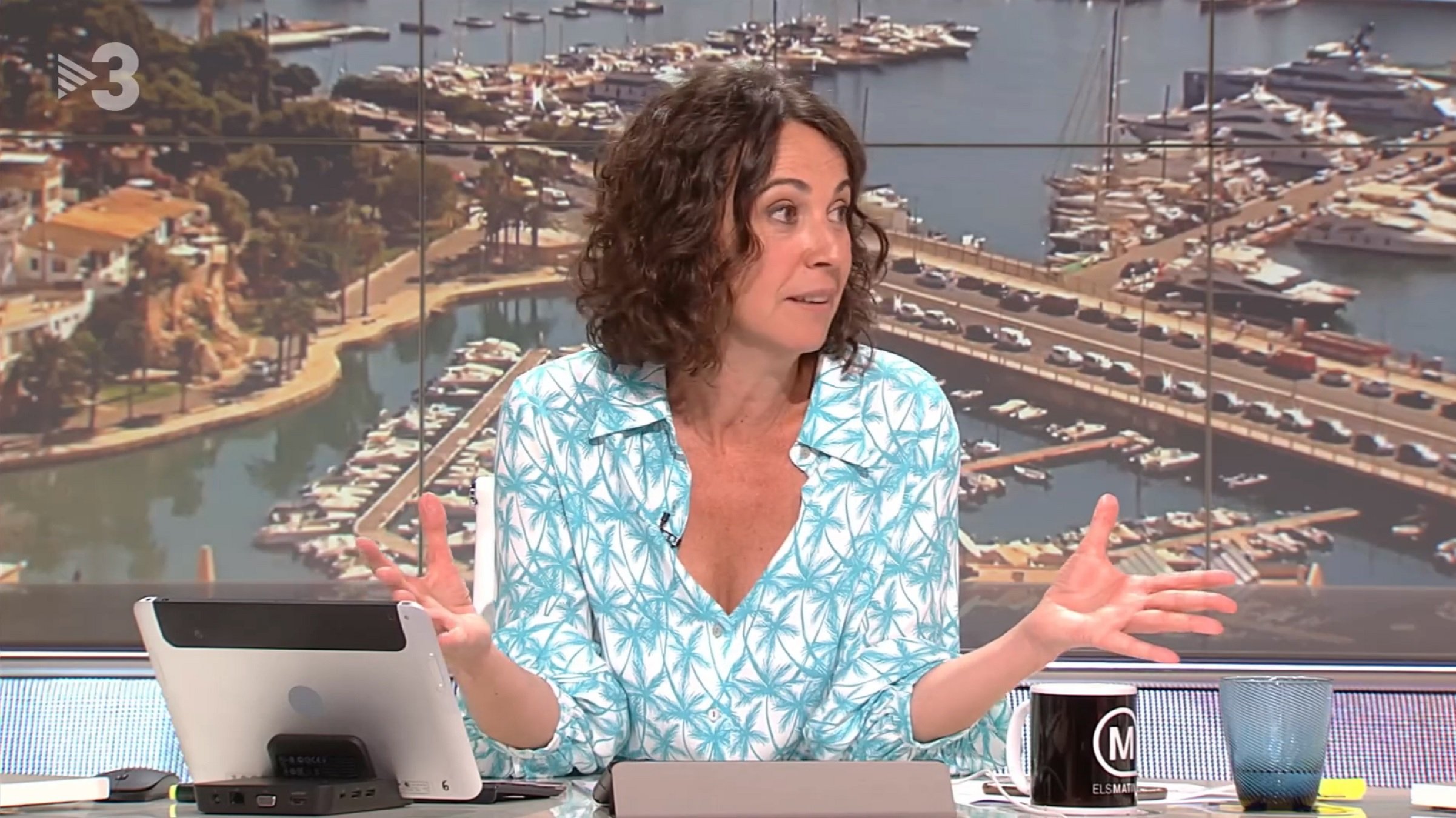 Cobra 25 mil euros de TV3 per fer de tertulià i no diu mai ni una paraula en català