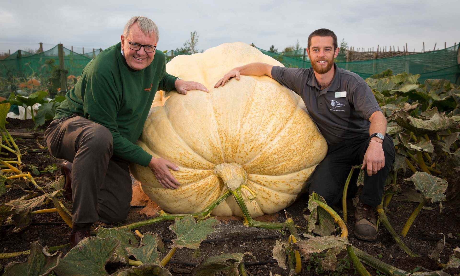 Una calabaza de 605kg rompe todos los récords en el Reino Unido