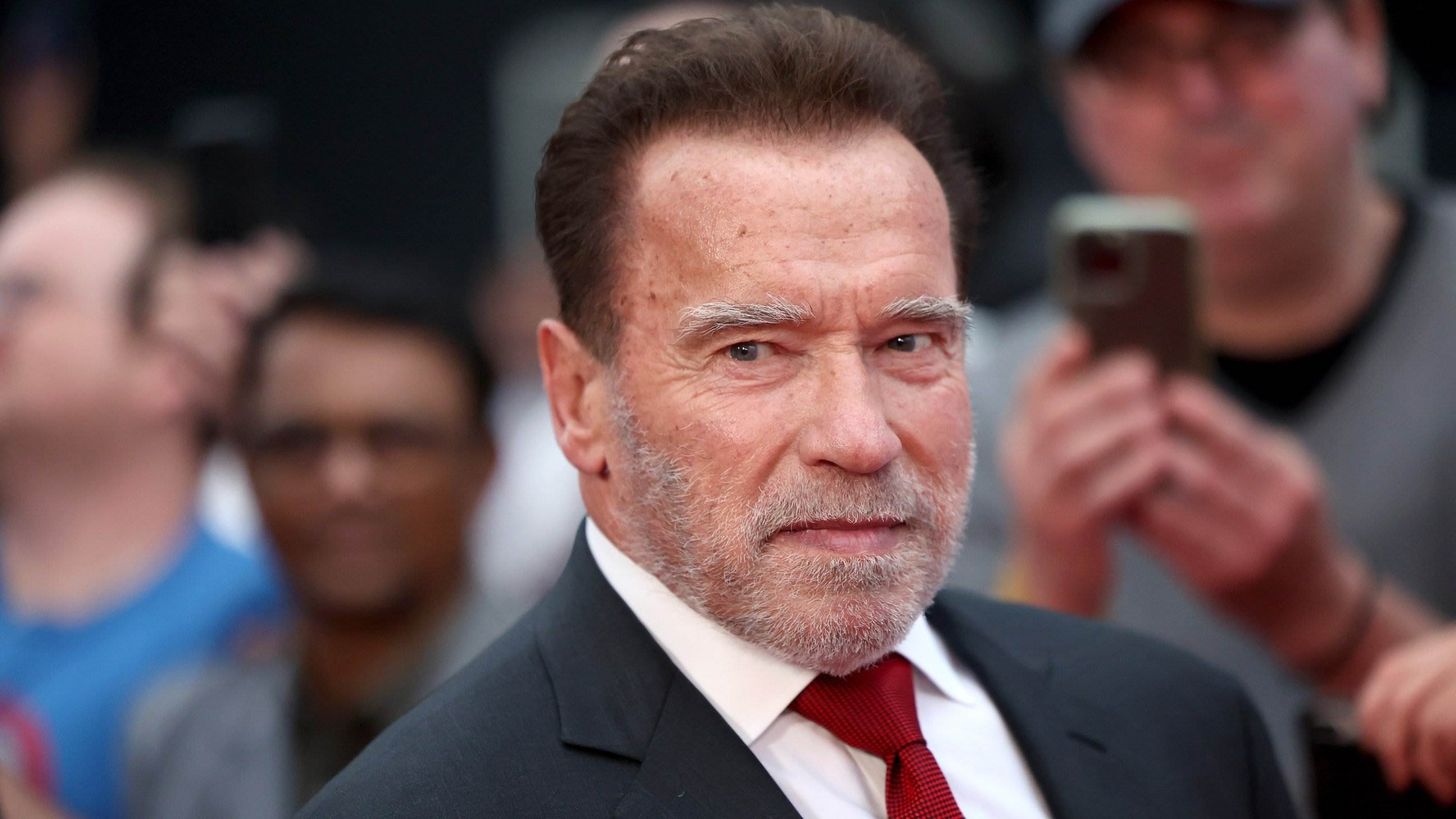 Això no li agradarà gens a Arnold Schwarzenegger, Mark Wahlberg parla