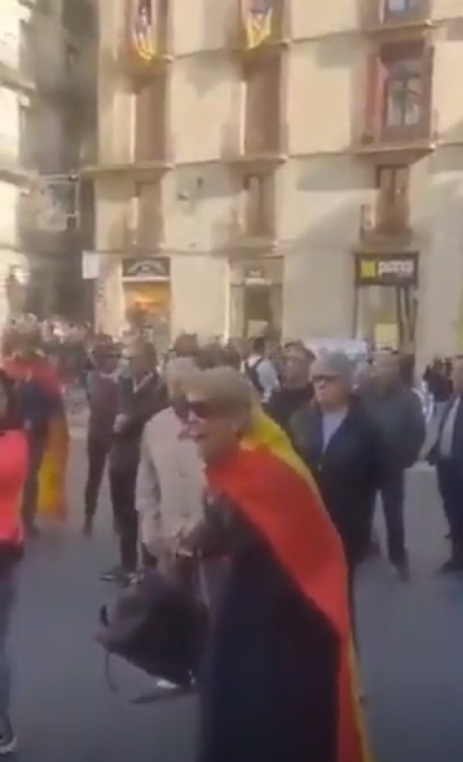 Sorprenent revelació a Catalunya Ràdio: qui és la senyora que crida com una boja amb la bandera espanyola