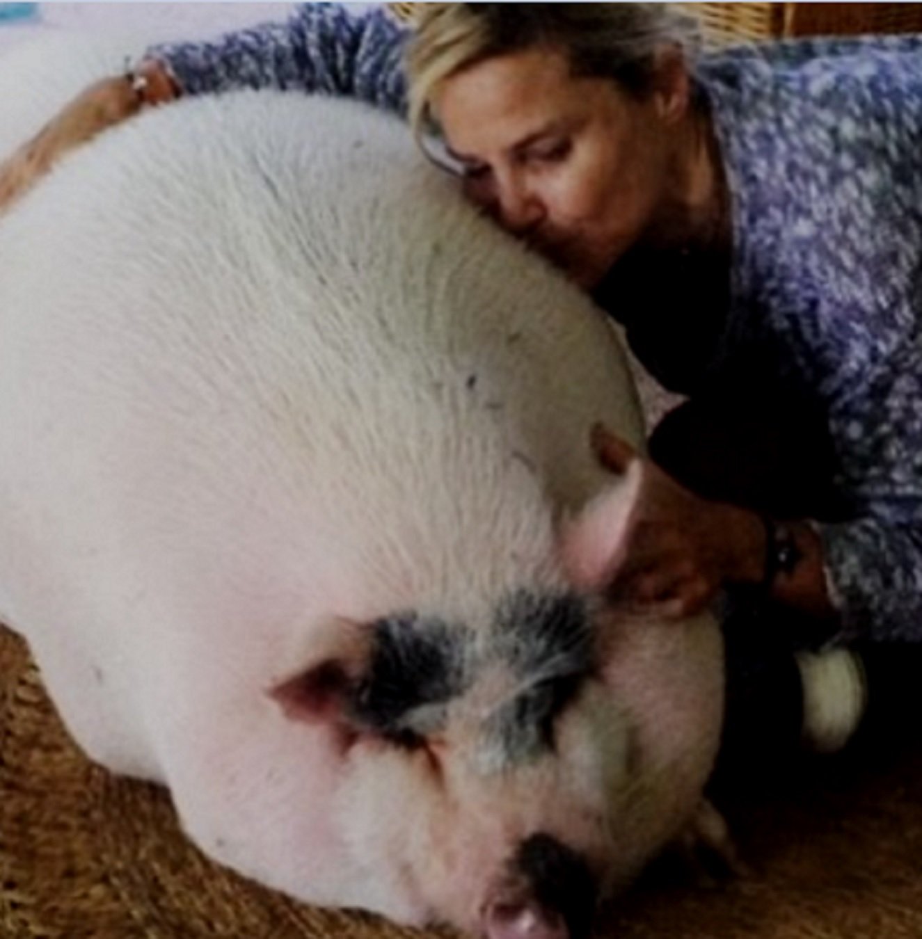 Eugenia Martínez de Irujo plora desconsolada la mort del seu súper porc