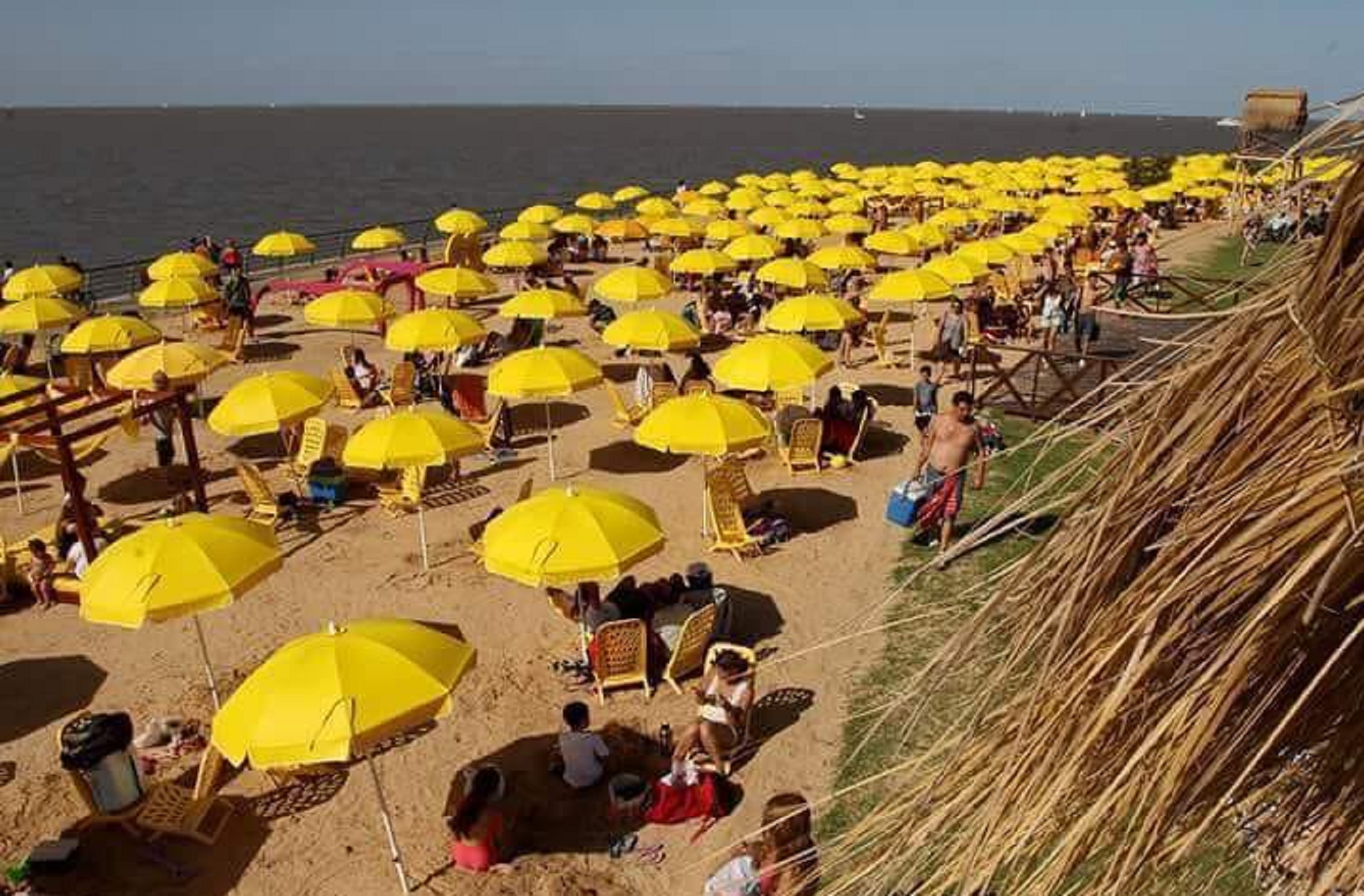 Toni Soler y Mainat hacen campaña para sacar cruces amarillas de las playas