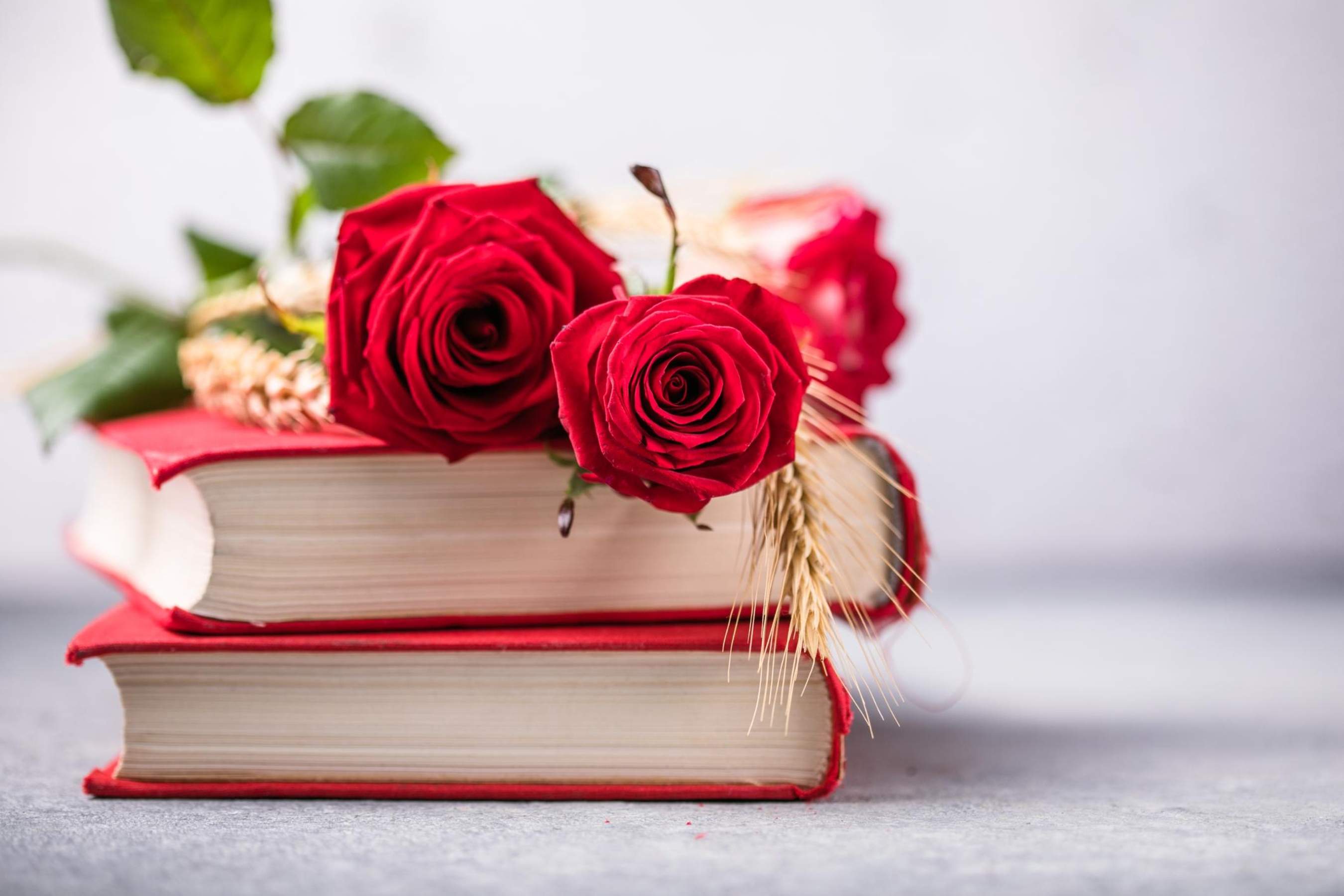 Los 5 libros imprescindibles de este Sant Jordi escritos por VIPS: Pilar Eyre, Carlos Sobera...