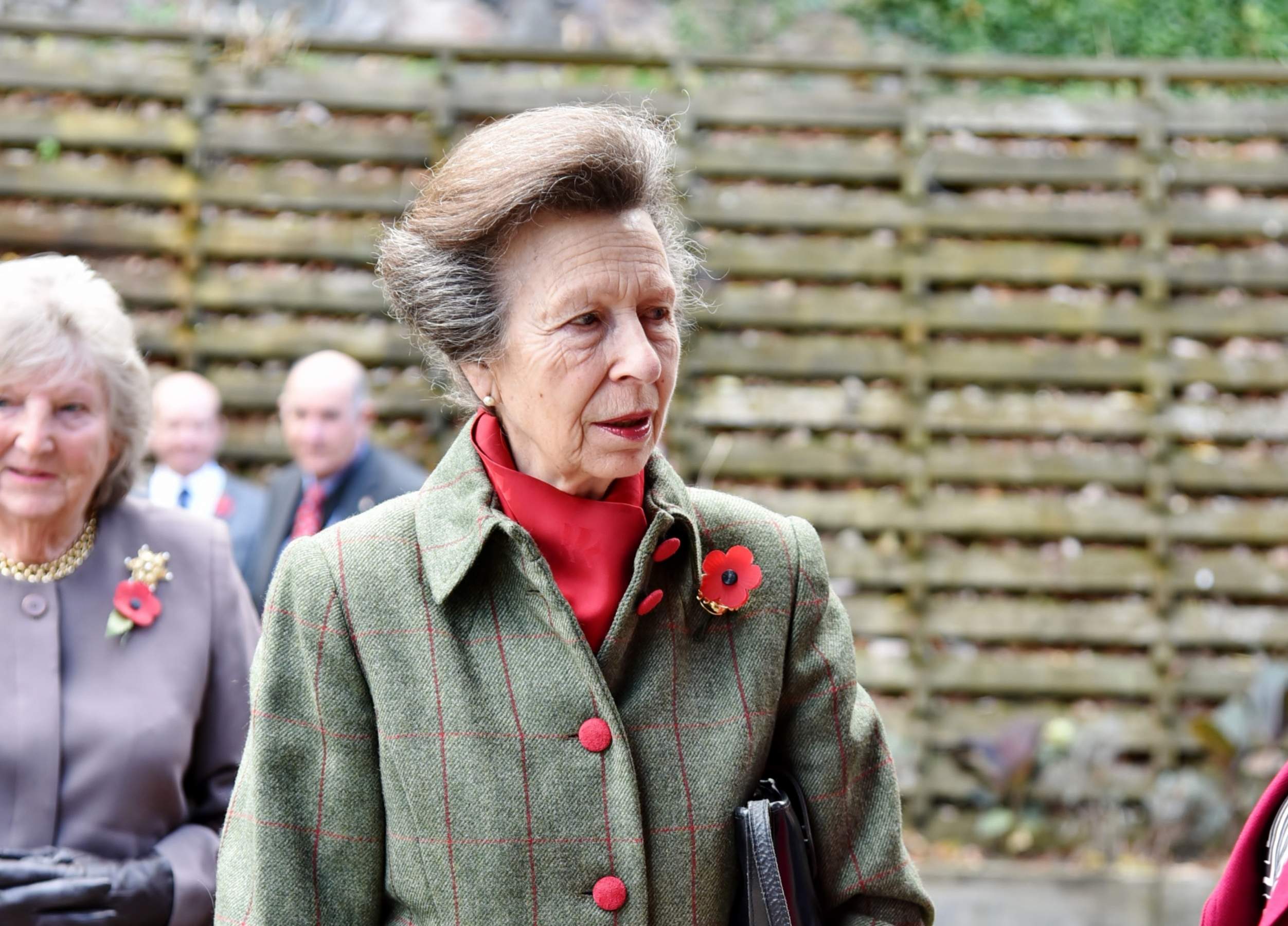 Nuevo susto en Buckingham: la princesa Ana, hospitalizada por un accidente con un caballo