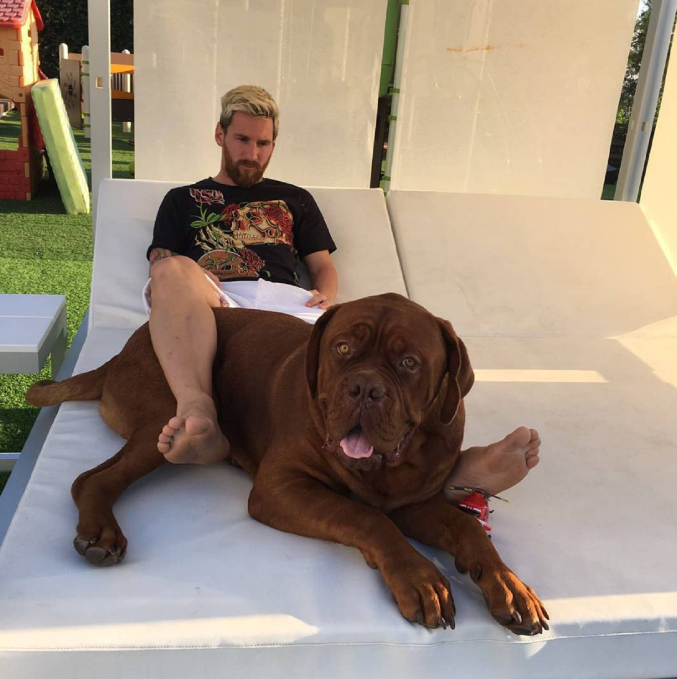 Messi vuelve loco al perro y provoca la admiración de sus hijos