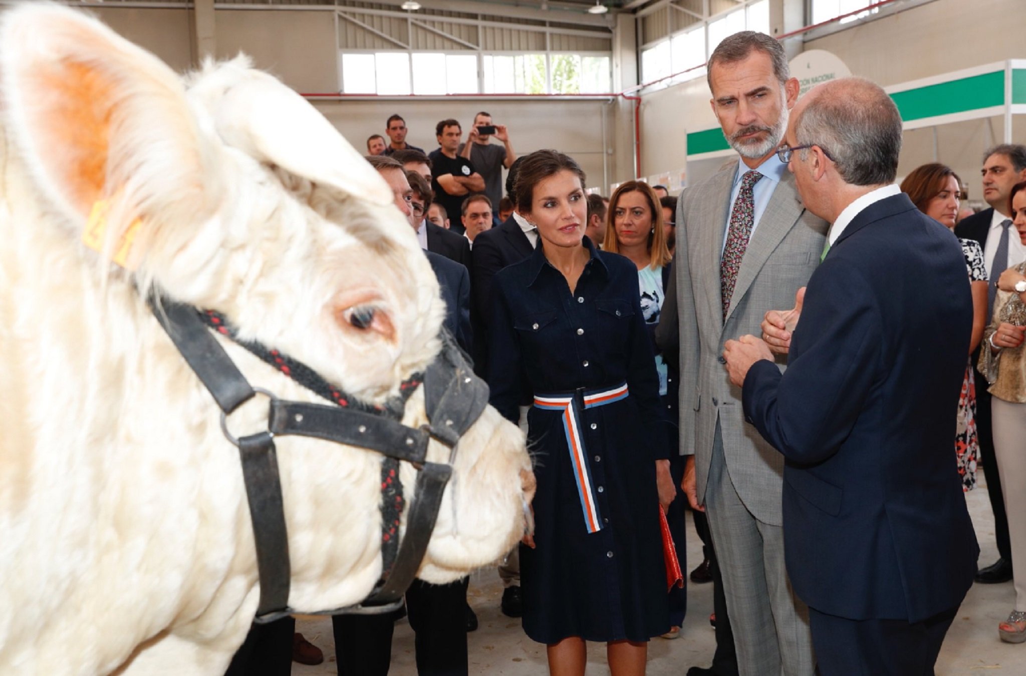 La reina Letícia, en una granja de vaques amb un vestit poc adequat