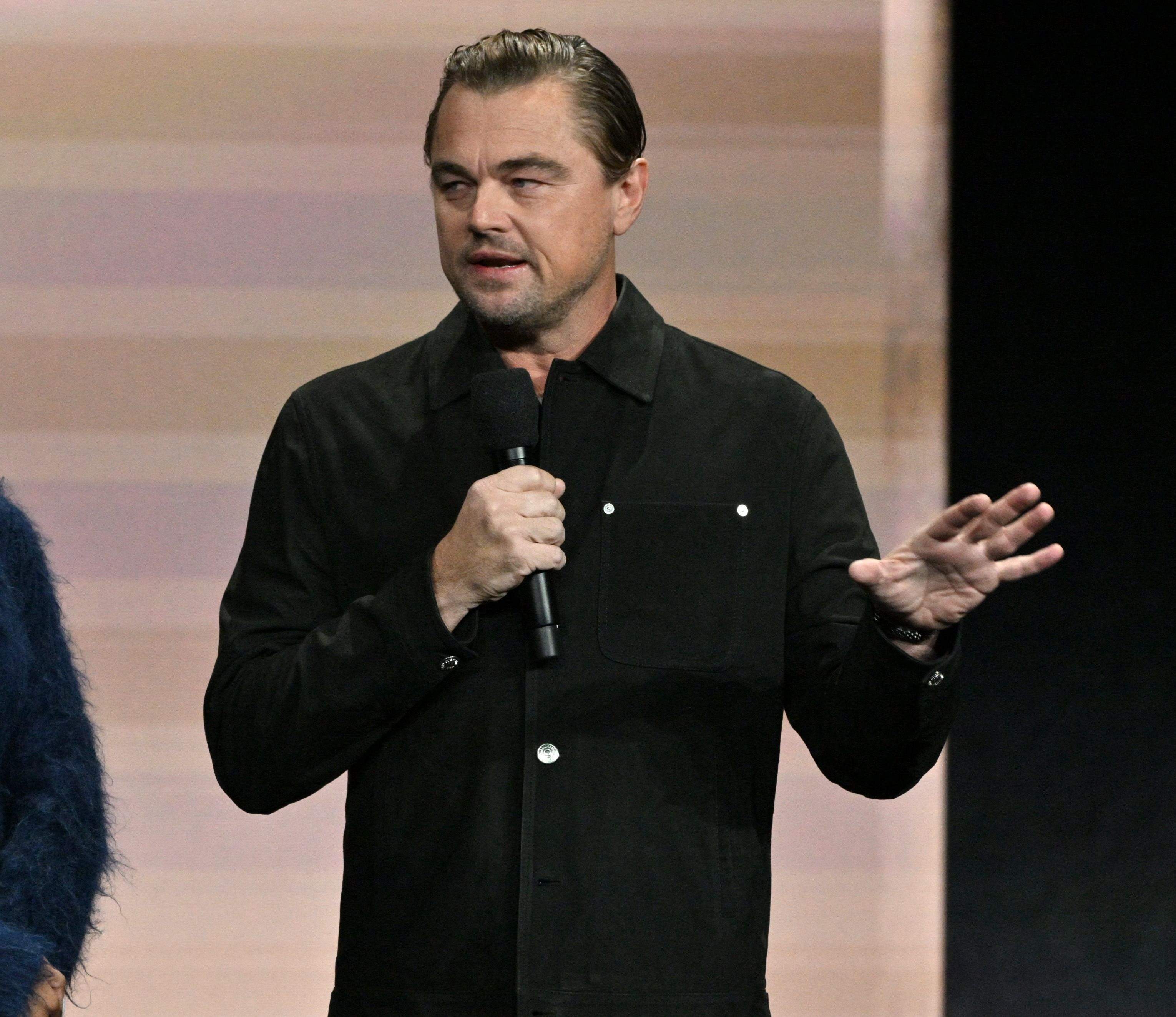 Leonardo DiCaprio / Gtres