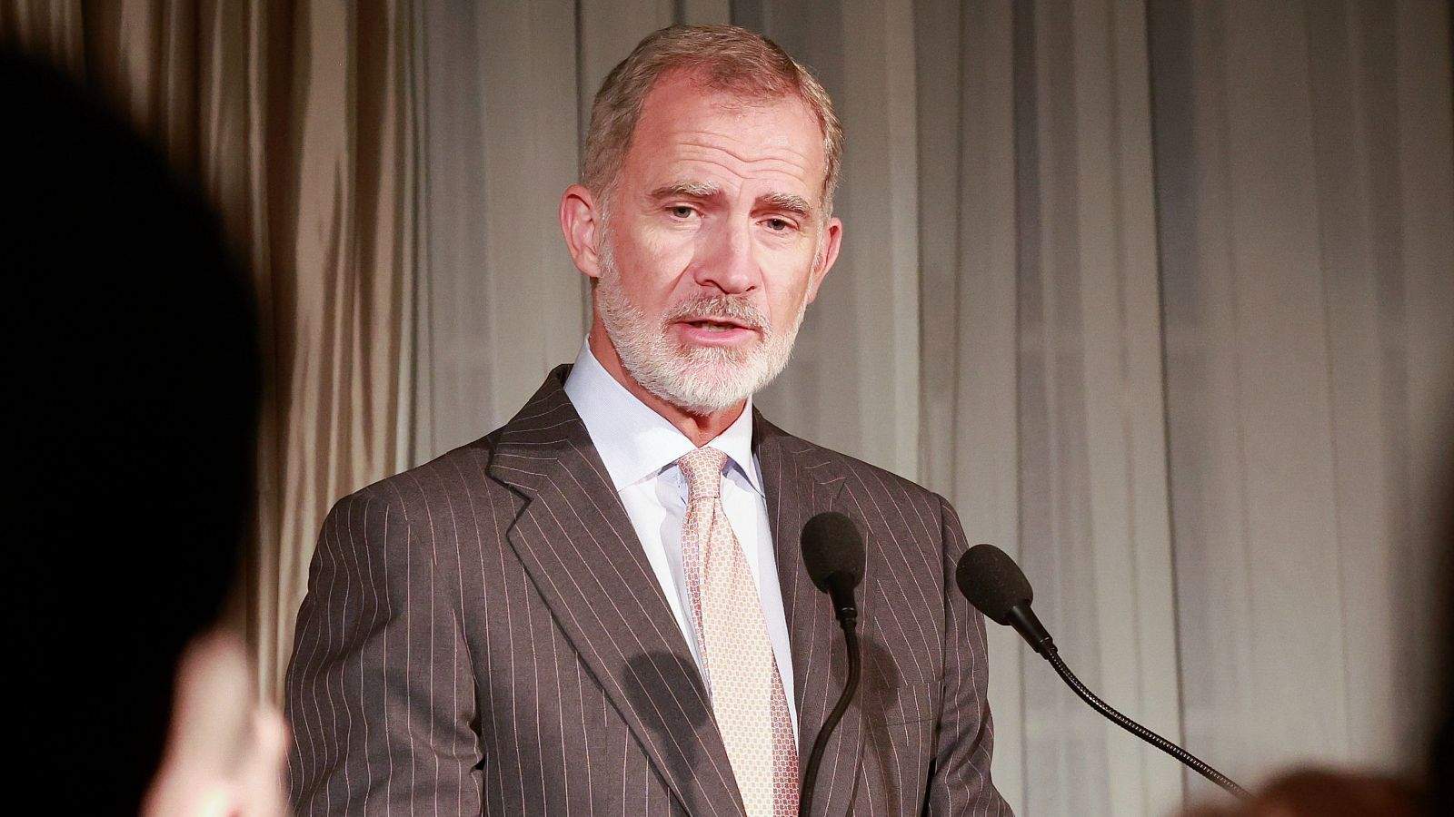 Felipe VI discurs onu