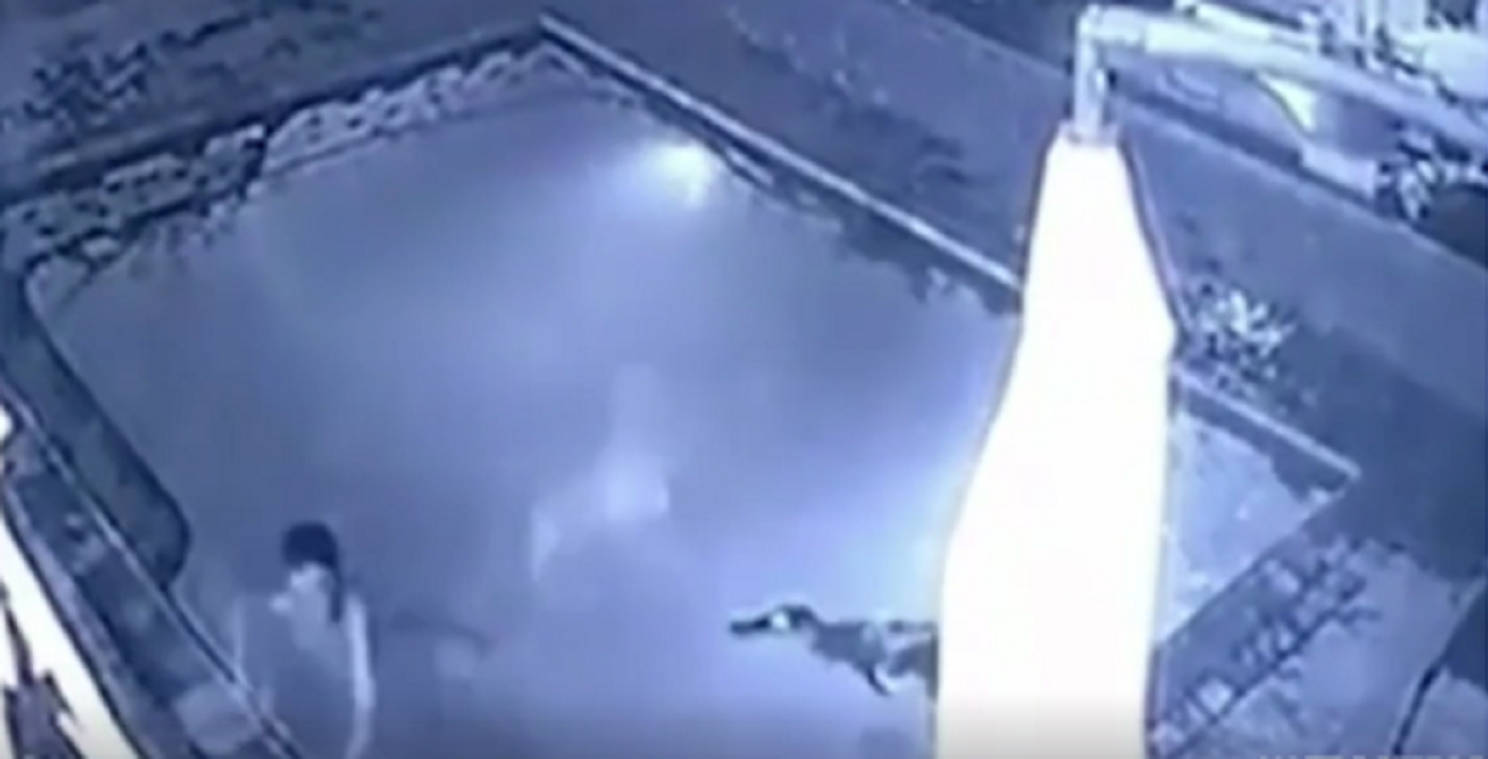 Un cocodril ataca una parella a la piscina d'un hotel de Zimbabwe