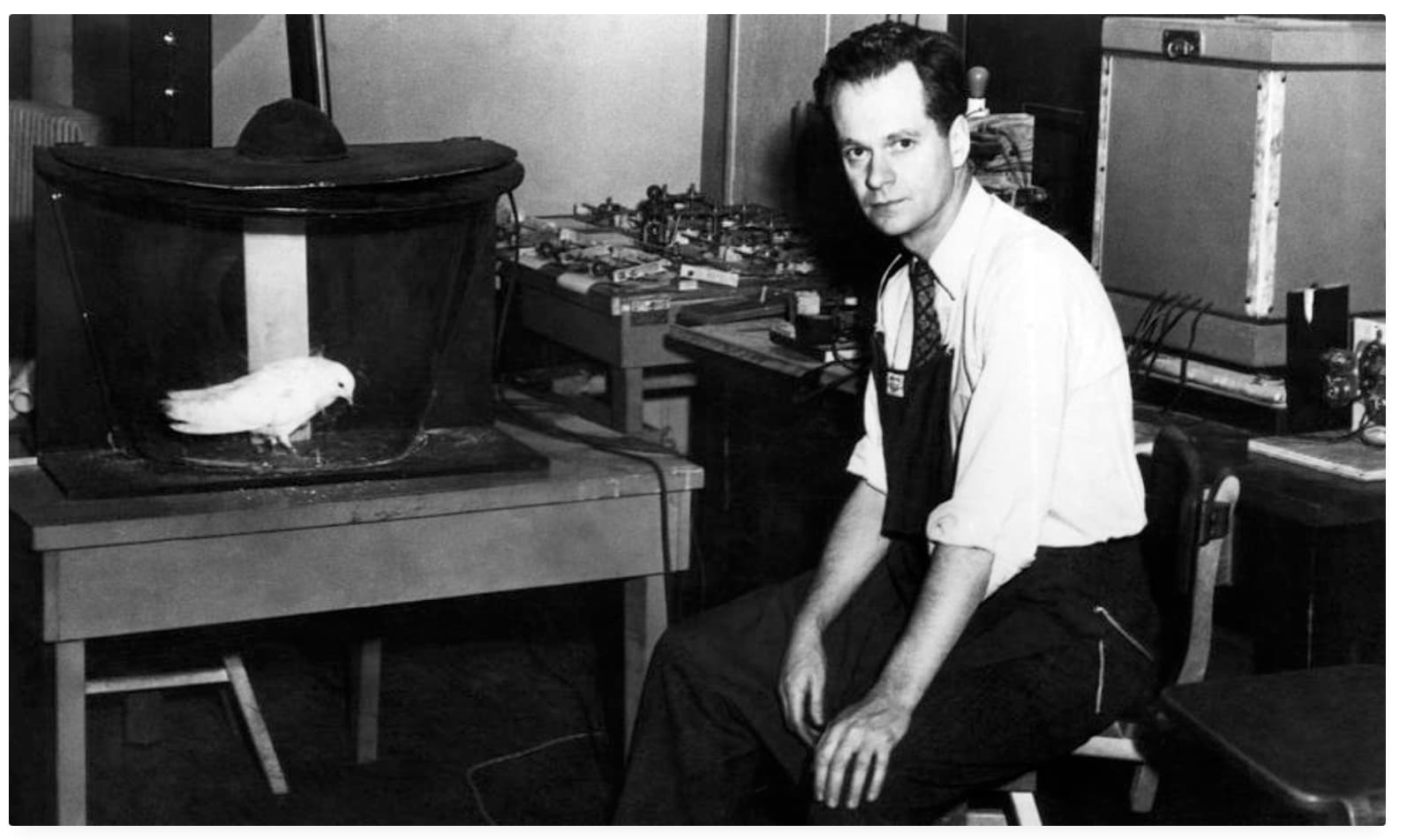 Burrhus Frederic Skinner: “Quan els teus pares et diuen 'bon treball' pensa en la meva teoria del reforç"