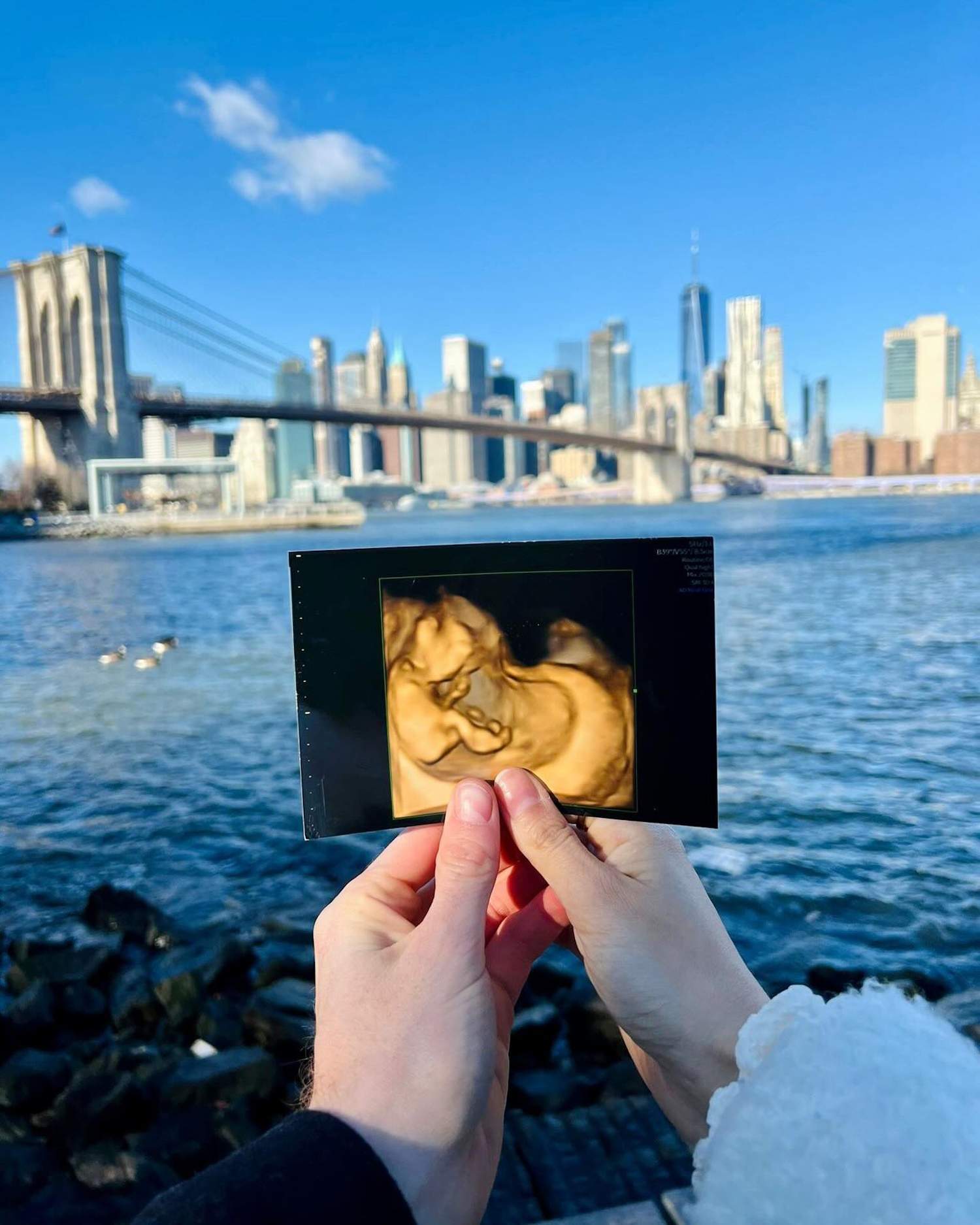 Jugador català top anuncia des de Nova York que ell i la seva parella estan esperant el seu primer fill