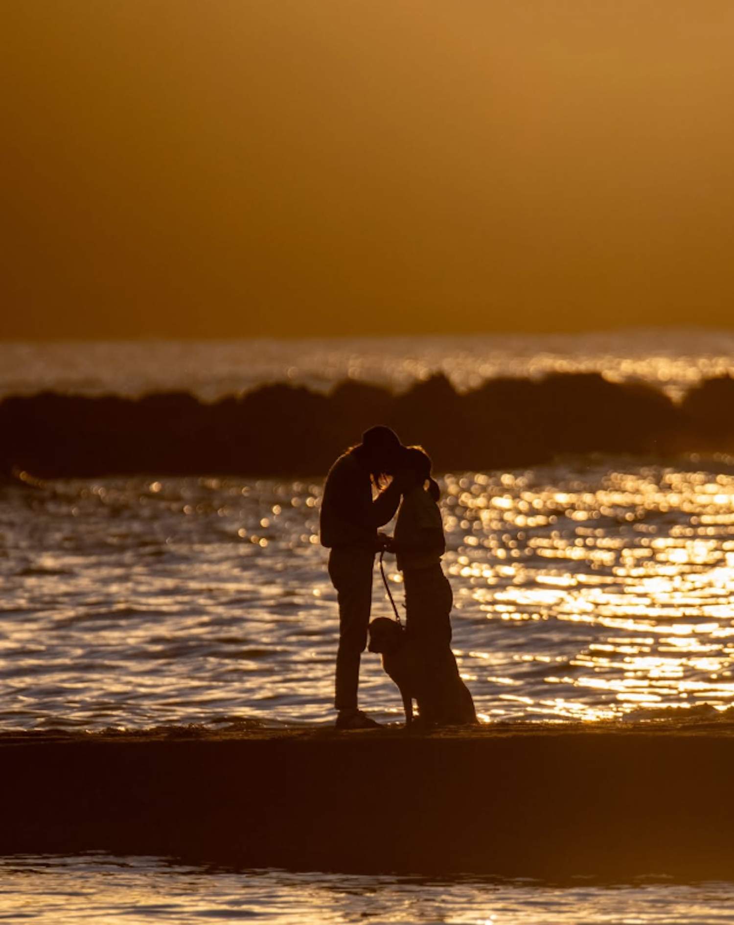 elena herraiz i parella