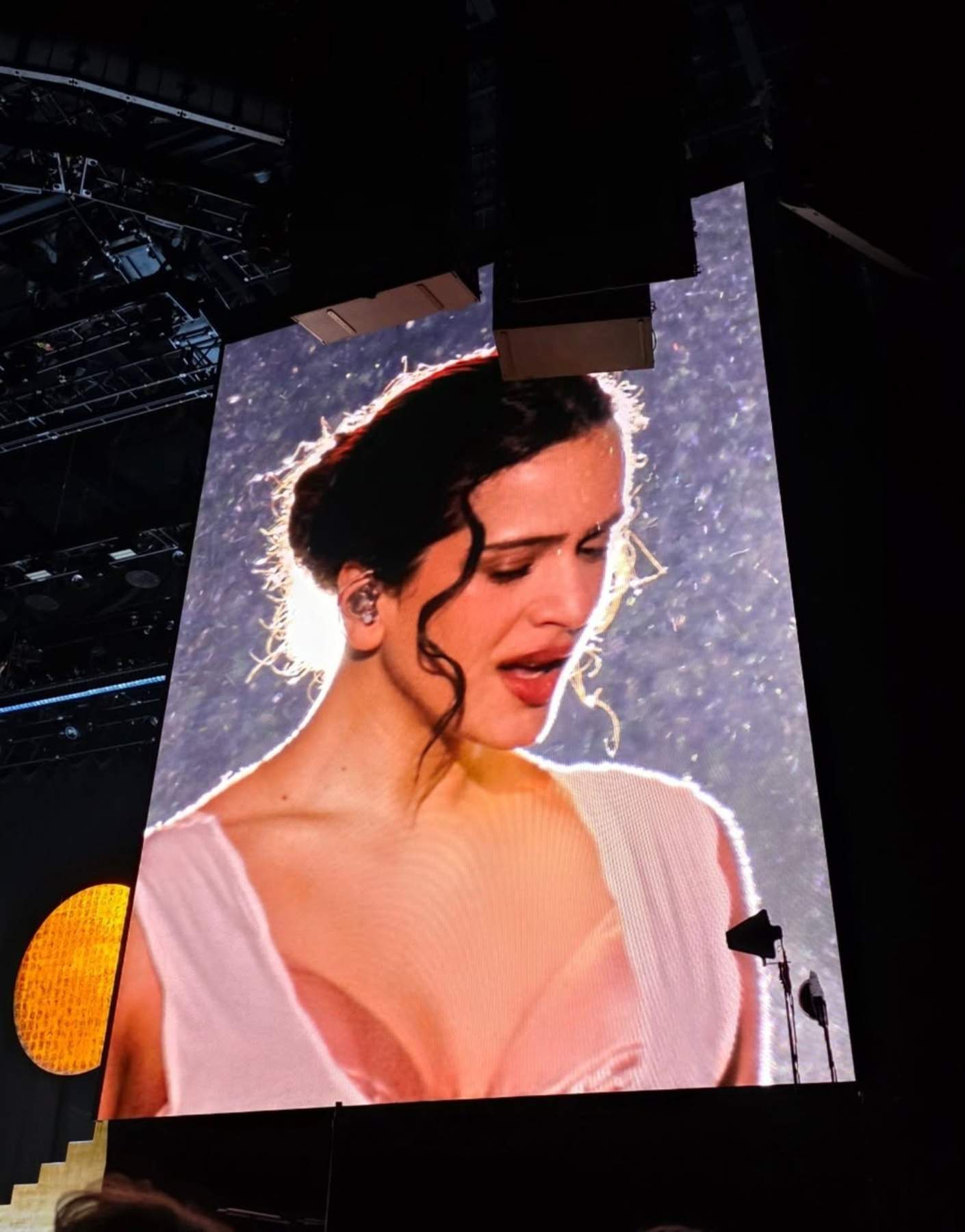 Excrack azulgrana no se pierde el primer concierto de Rosalía en Lyon: fan número uno desde la grada