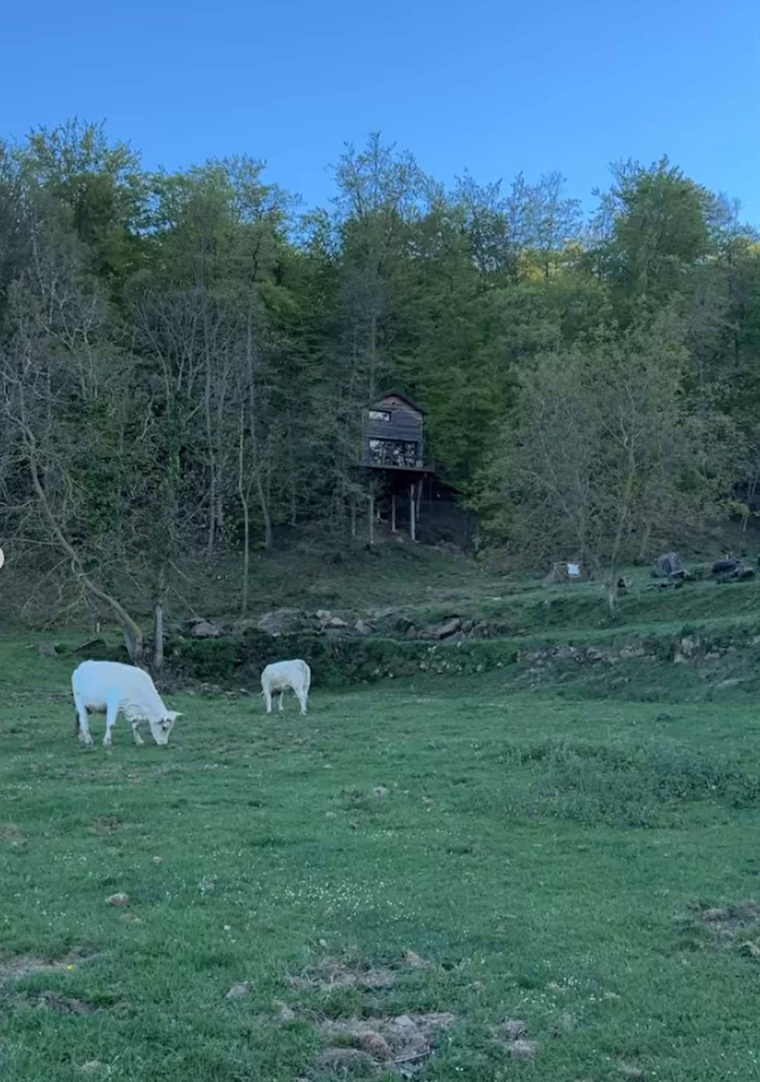 Amor a la Vall de Vianya IG