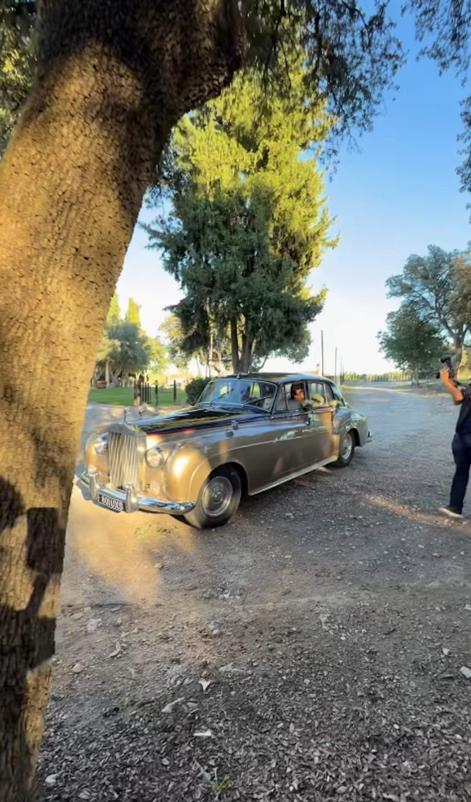 La boda d'una presentadora de TV3: arribant en Rolls-Royce, el gos vestit d'esmòquing i ball brutal a l'entrar