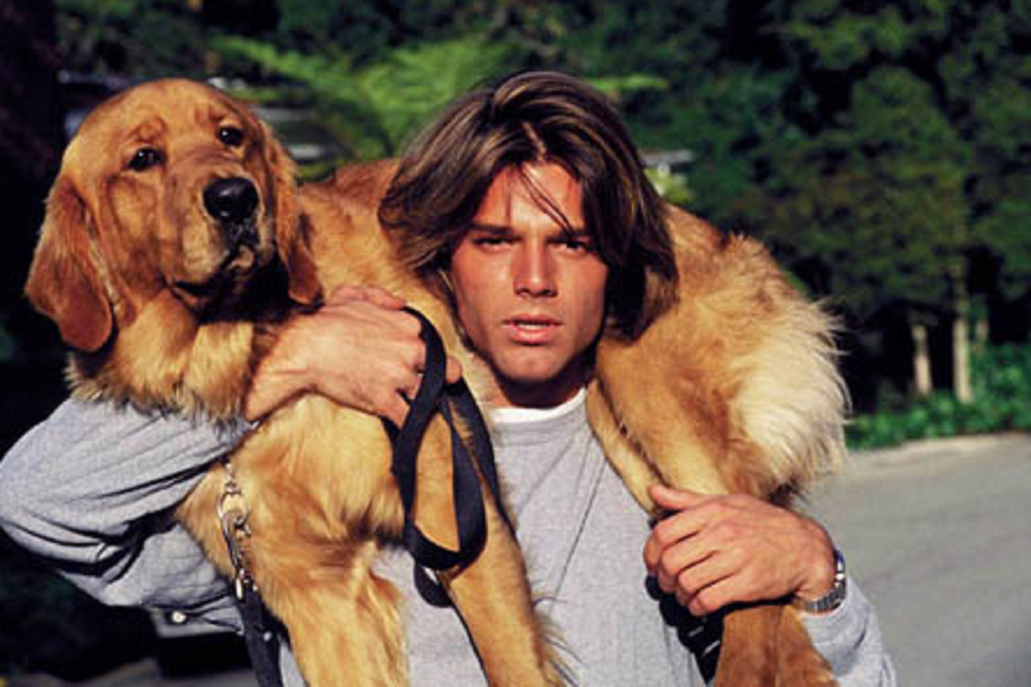 Veinte años de la fake new más brutal: Ricky Martin, mermelada y un perro