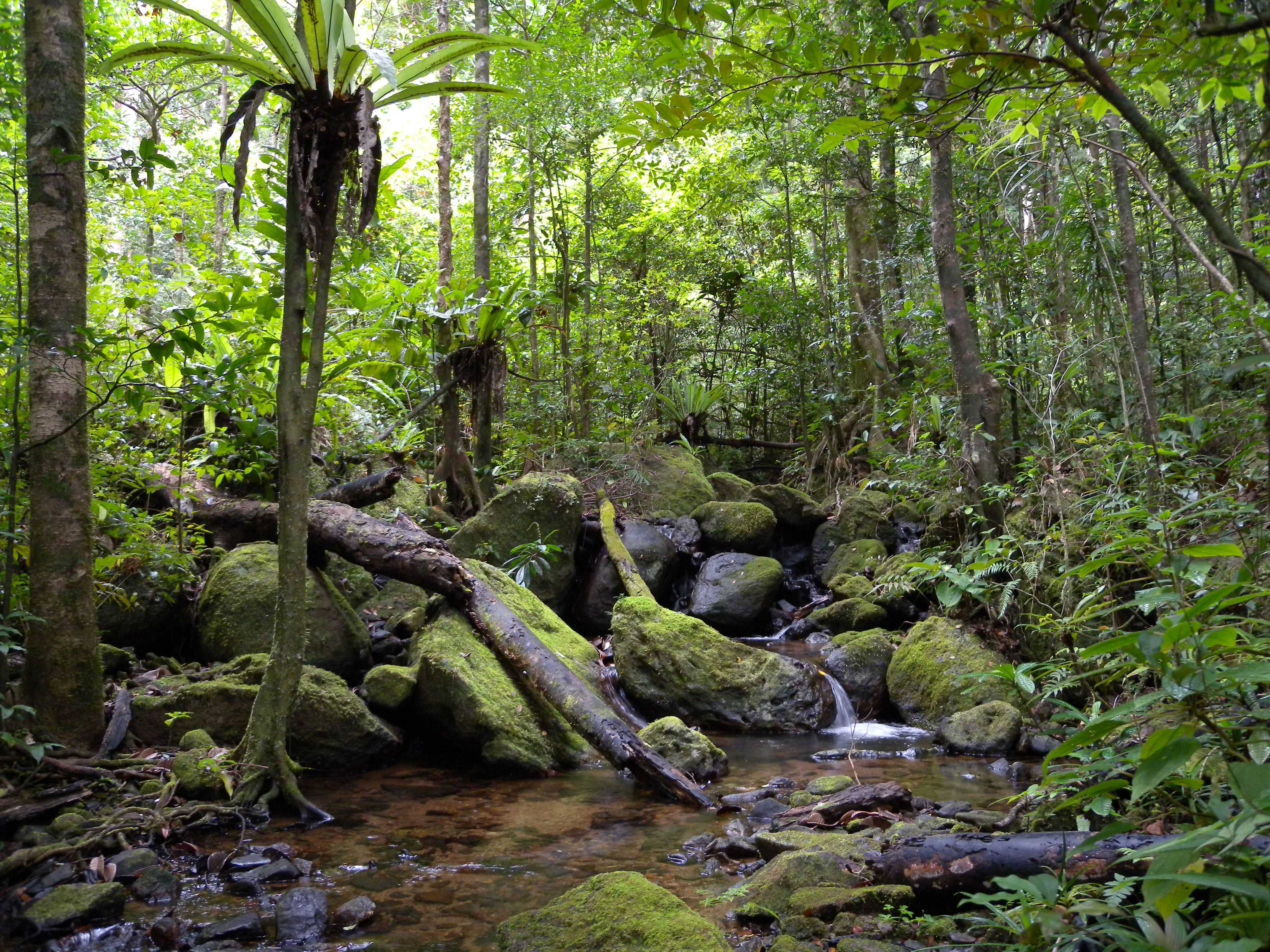 Esquiva la muerte sin darse cuenta en un paraje de Madagascar