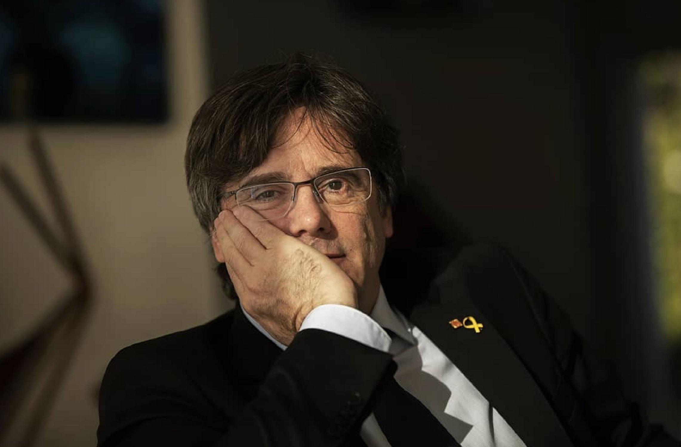 Un empresari de Màlaga li posa 'Puigdemont' al seu gos i es fa d'or amb el seu semen