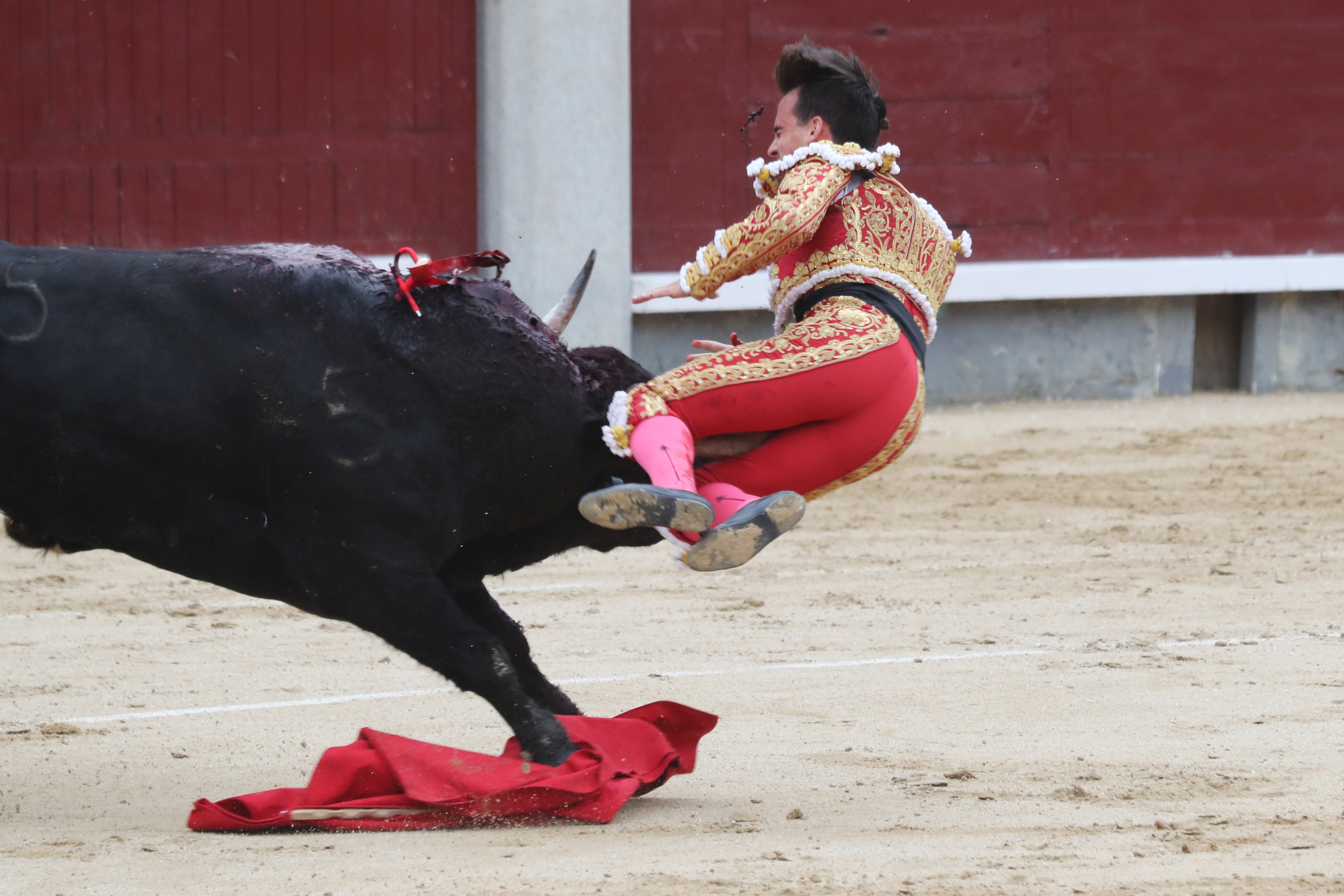 El novio torero de Victoria Federica, muy grave por una cornada (y ella en la grada)