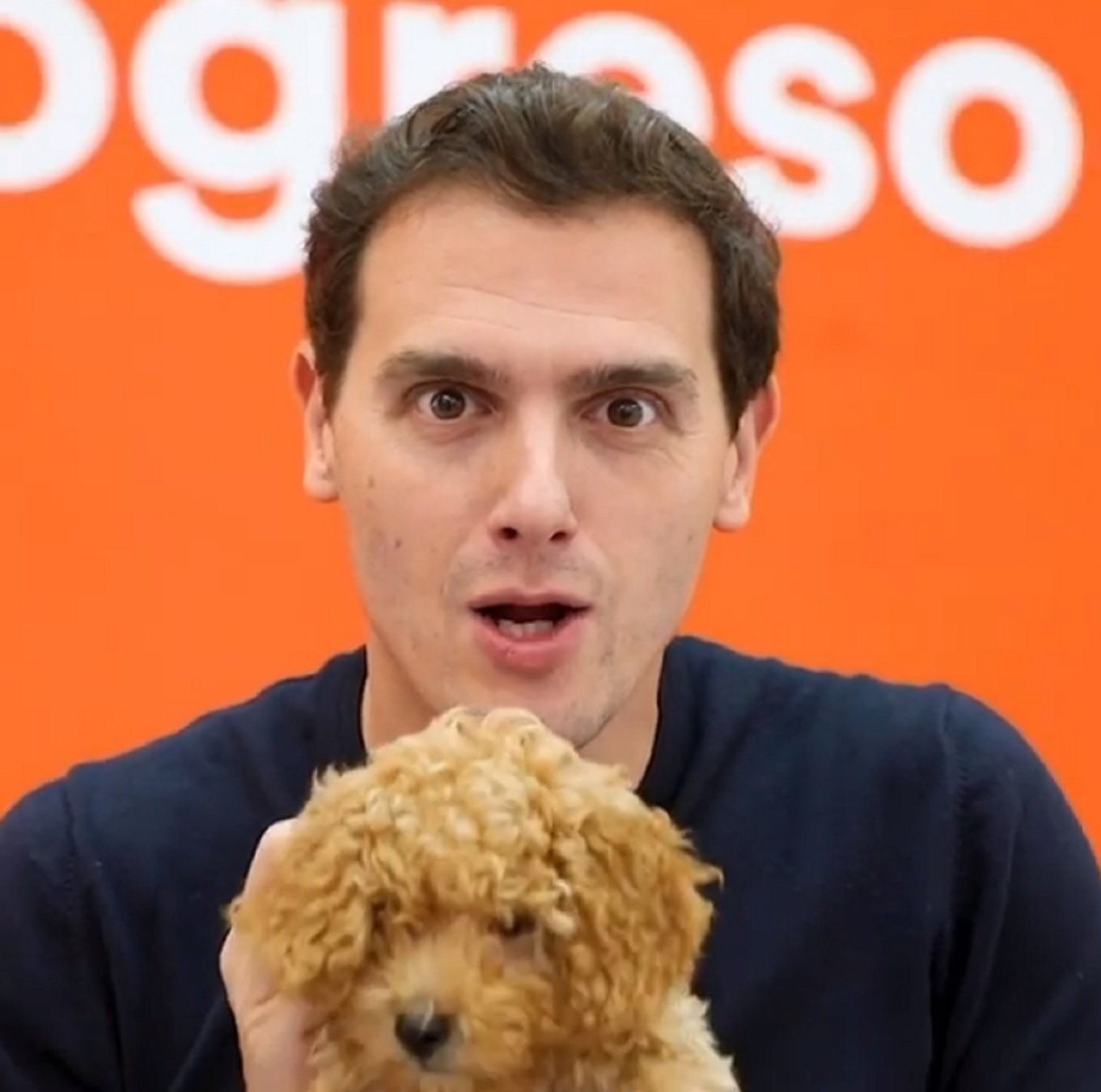 Desesperat vídeo de Rivera ensumant un gos: "Huele a leche" i twitter explota