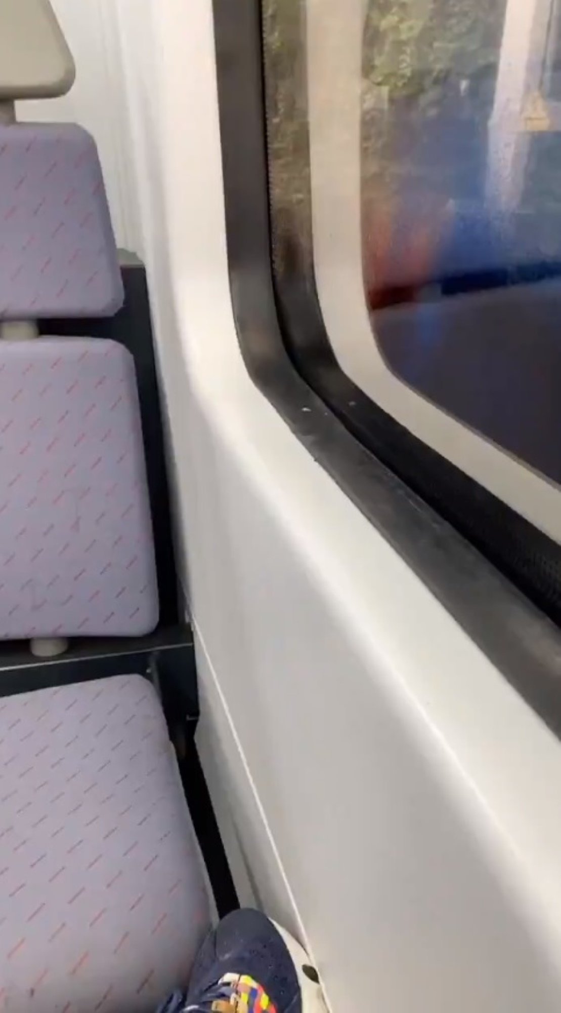 Un catalán televisivo, parado en un tren de Rodalies: "Cabrones"