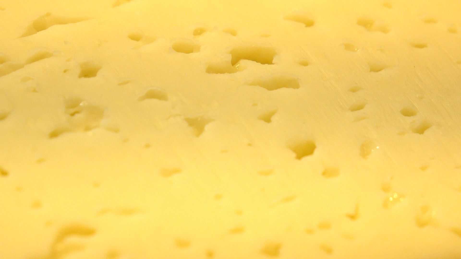 El único queso catalán con D.O.P. europea