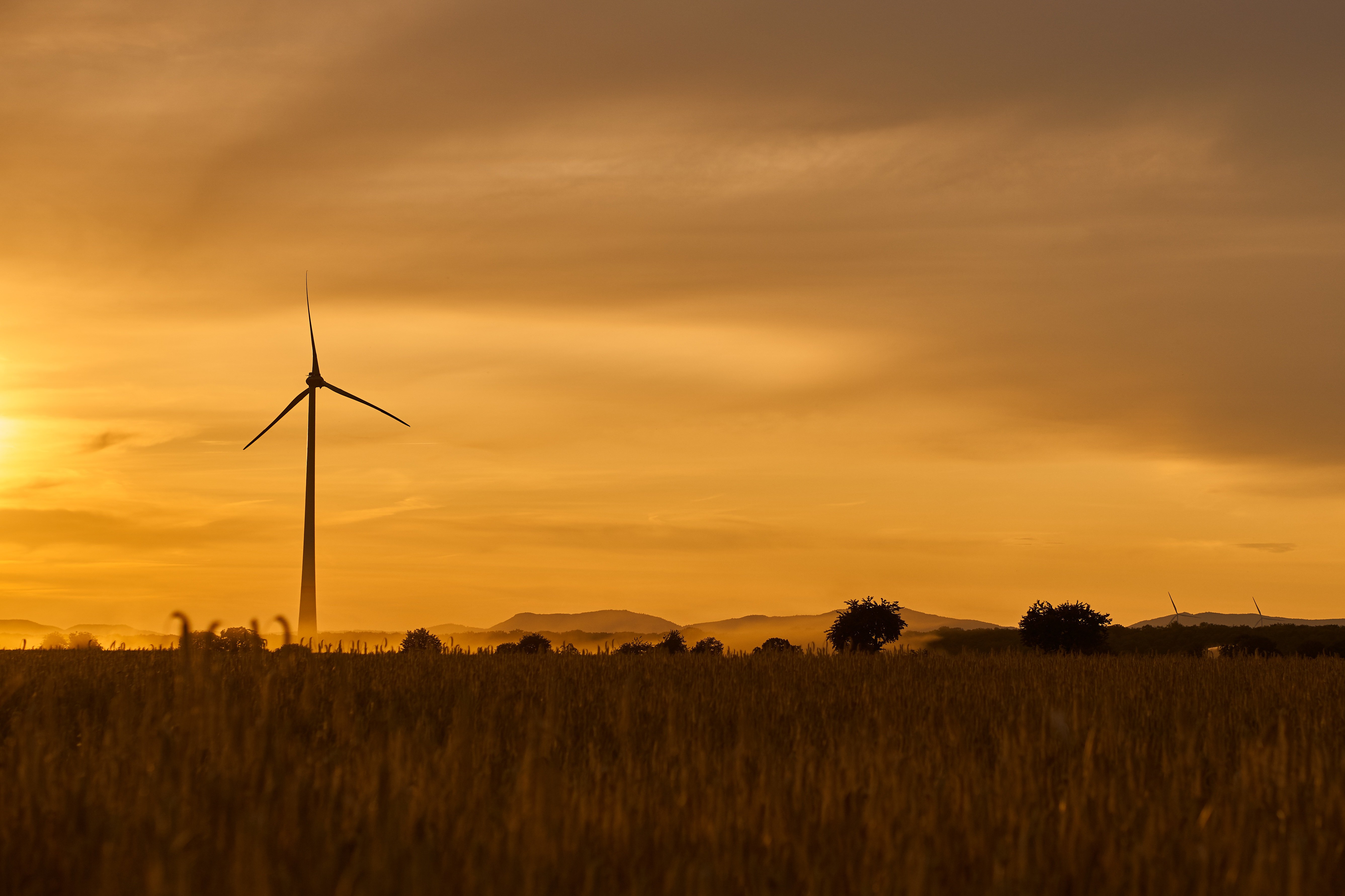 Parc eòlic per produir energía renovable. Foto: Pixabay