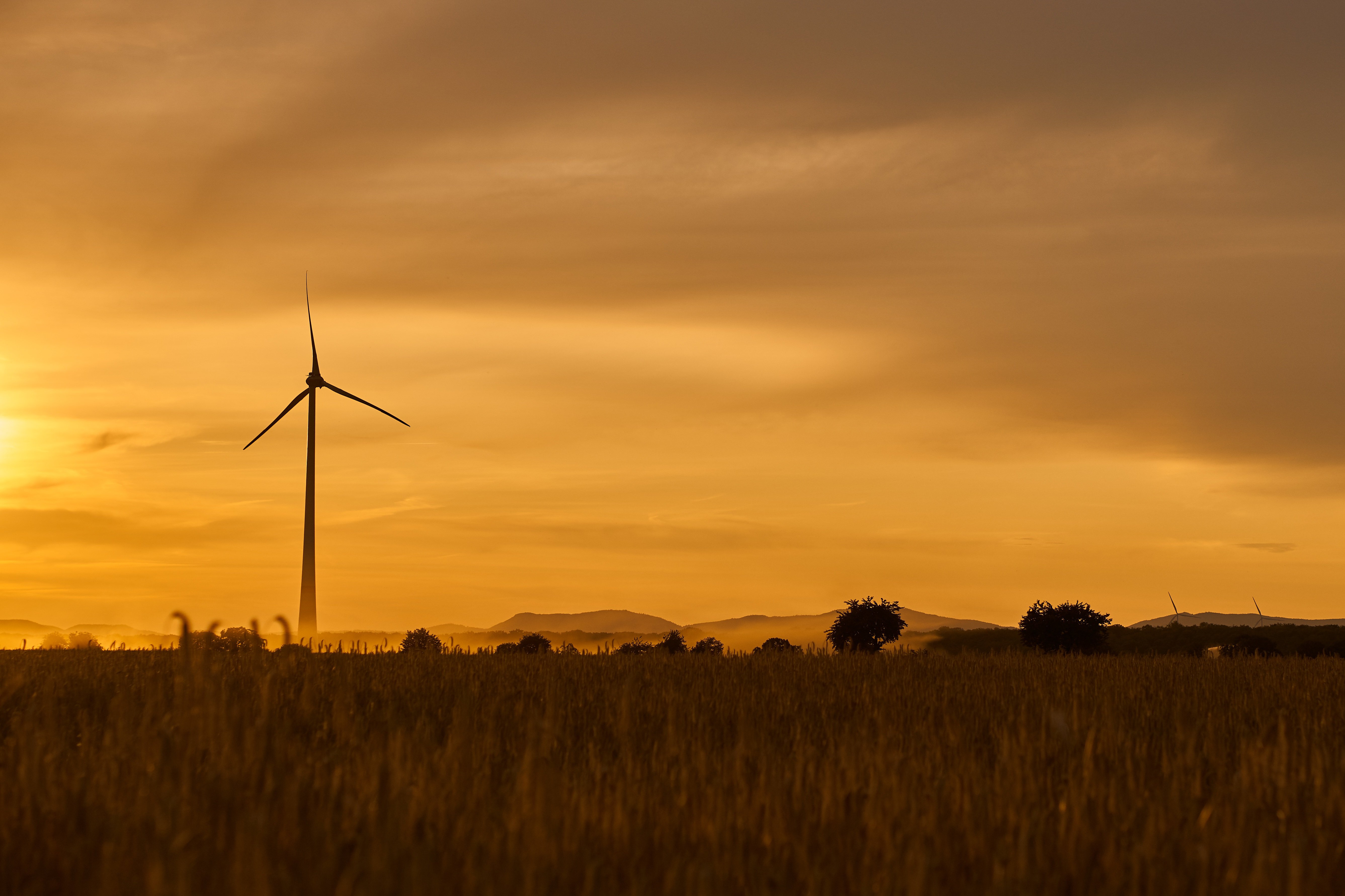 El Govern frena un parc eòlic de Forestalia a les Terres de l’Ebre