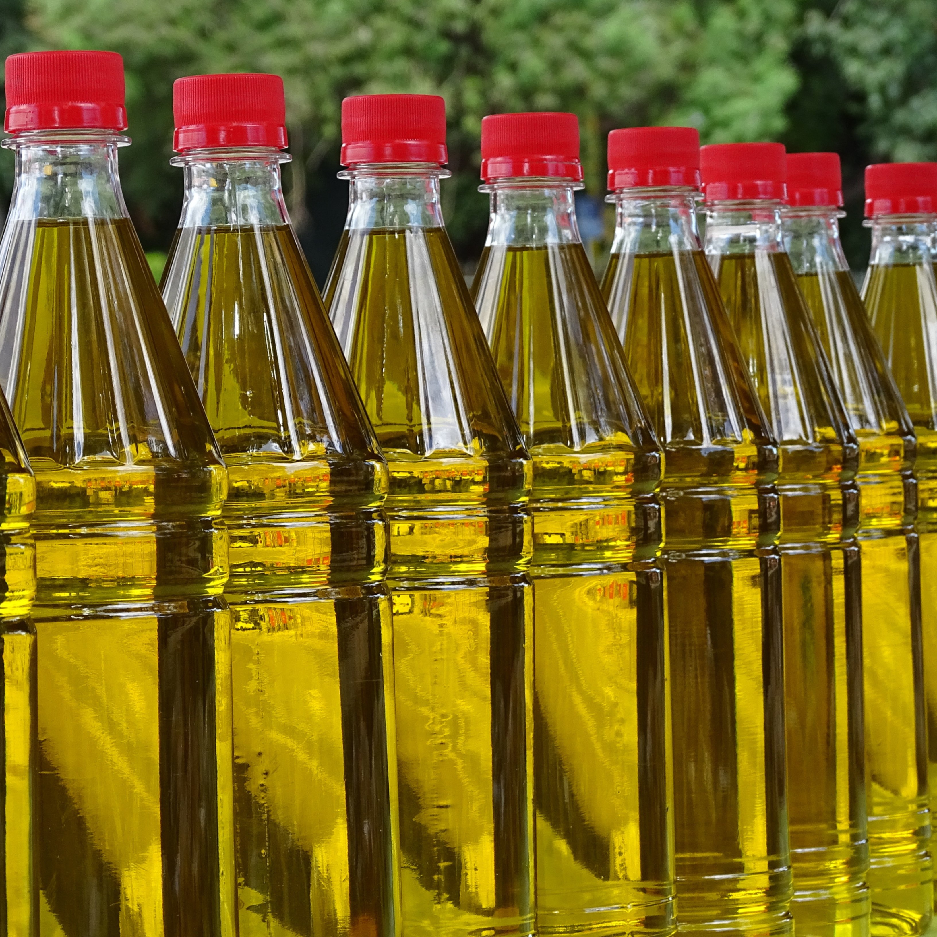 El preu de l'oli d'oliva bat rècord històric: ja és un 33,5% més car