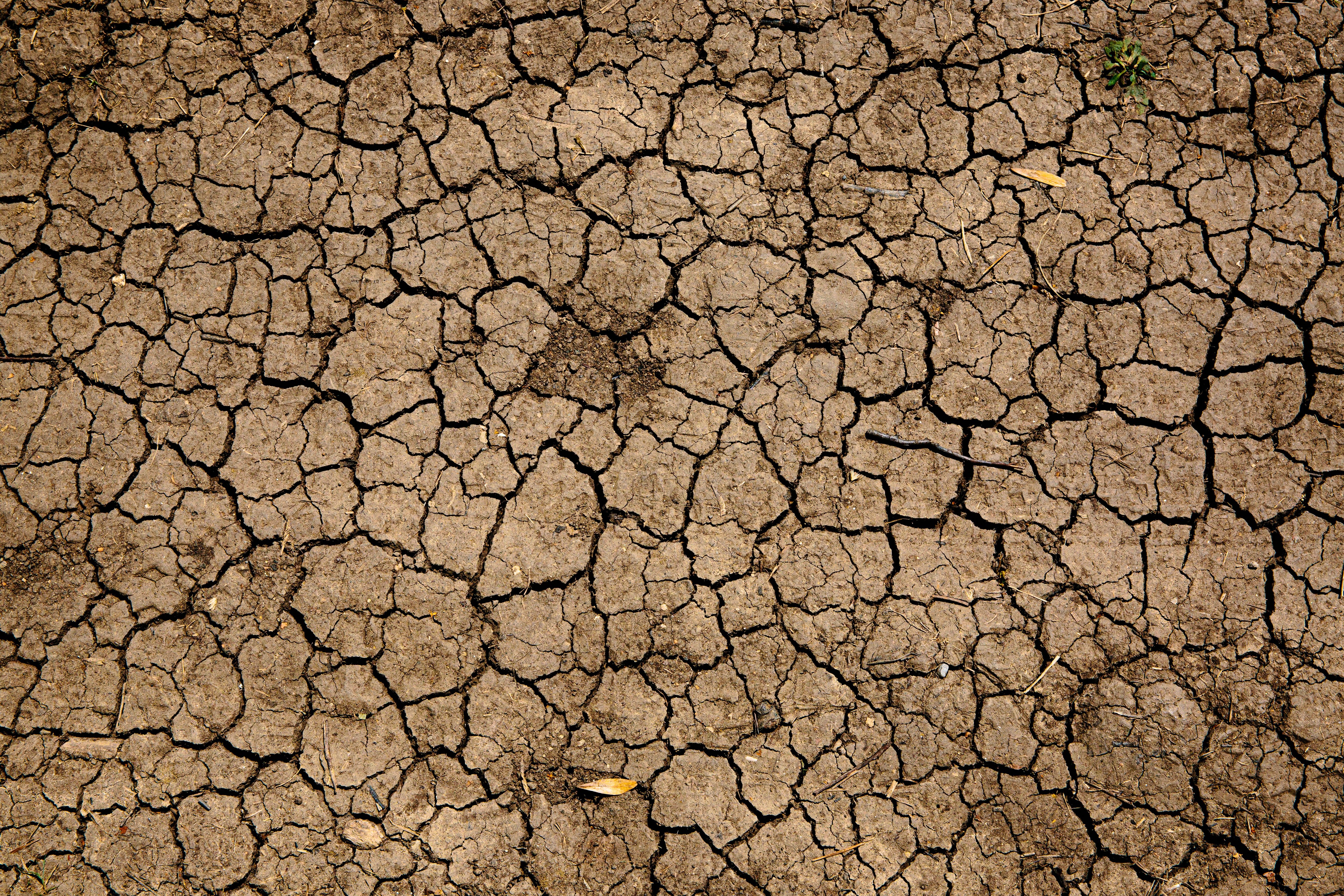 Bruselas, abierta a dar 250 millones a países afectados por la sequía como España