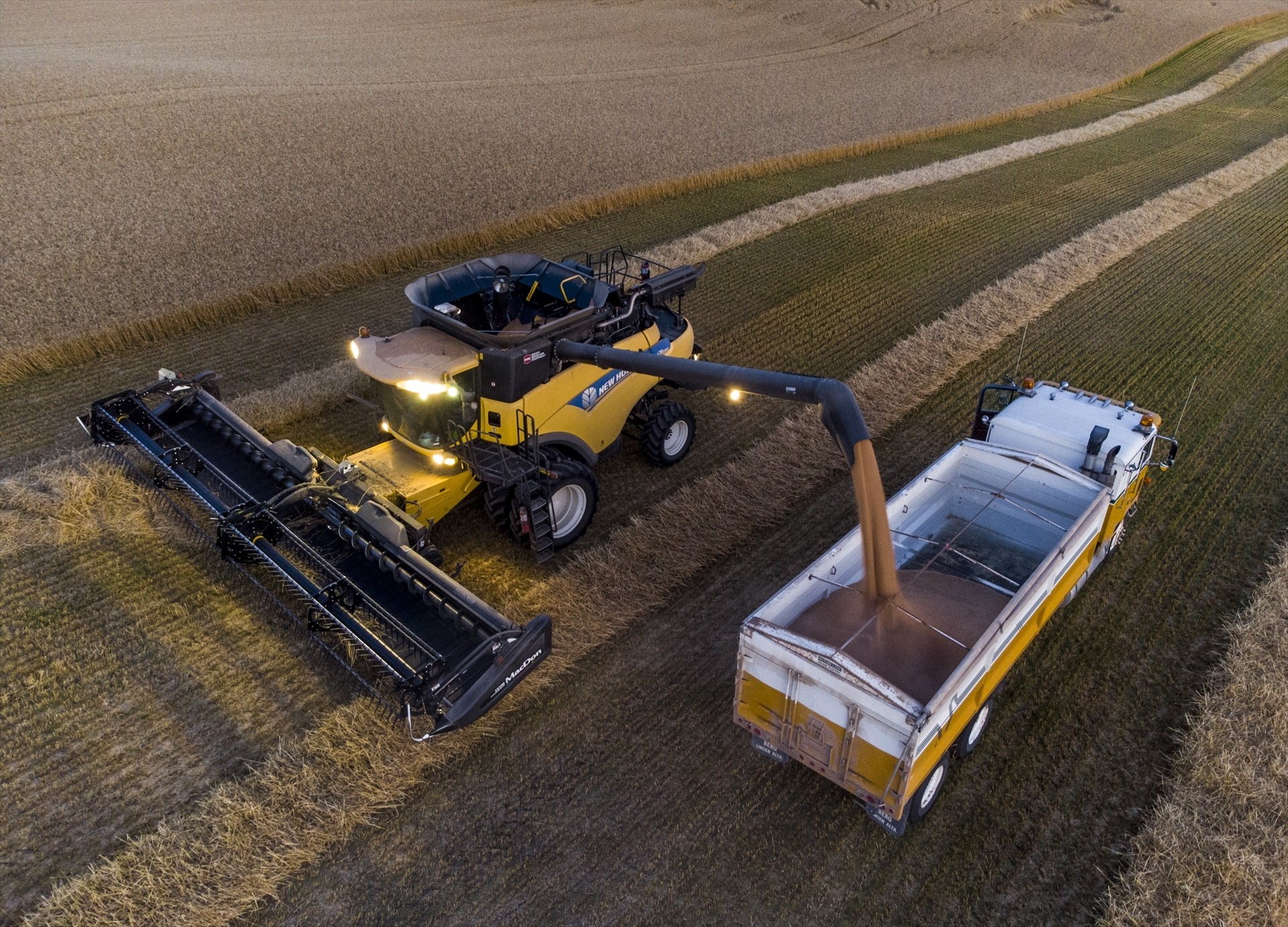 La renta agraria española baja un 5,5% en 2022 y se sitúa en 27.861 millones La renta agraria española baja un 5,5% en 2022 y se sitúa en 27.861 millones
