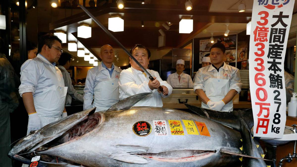 Un atún rojo de 212 kilos se vende por 257.000 euros en la primera subasta del año en Tokio Un atún rojo de 212 kilos se vende por 257.000 euros en la primera subasta del año en Tokio