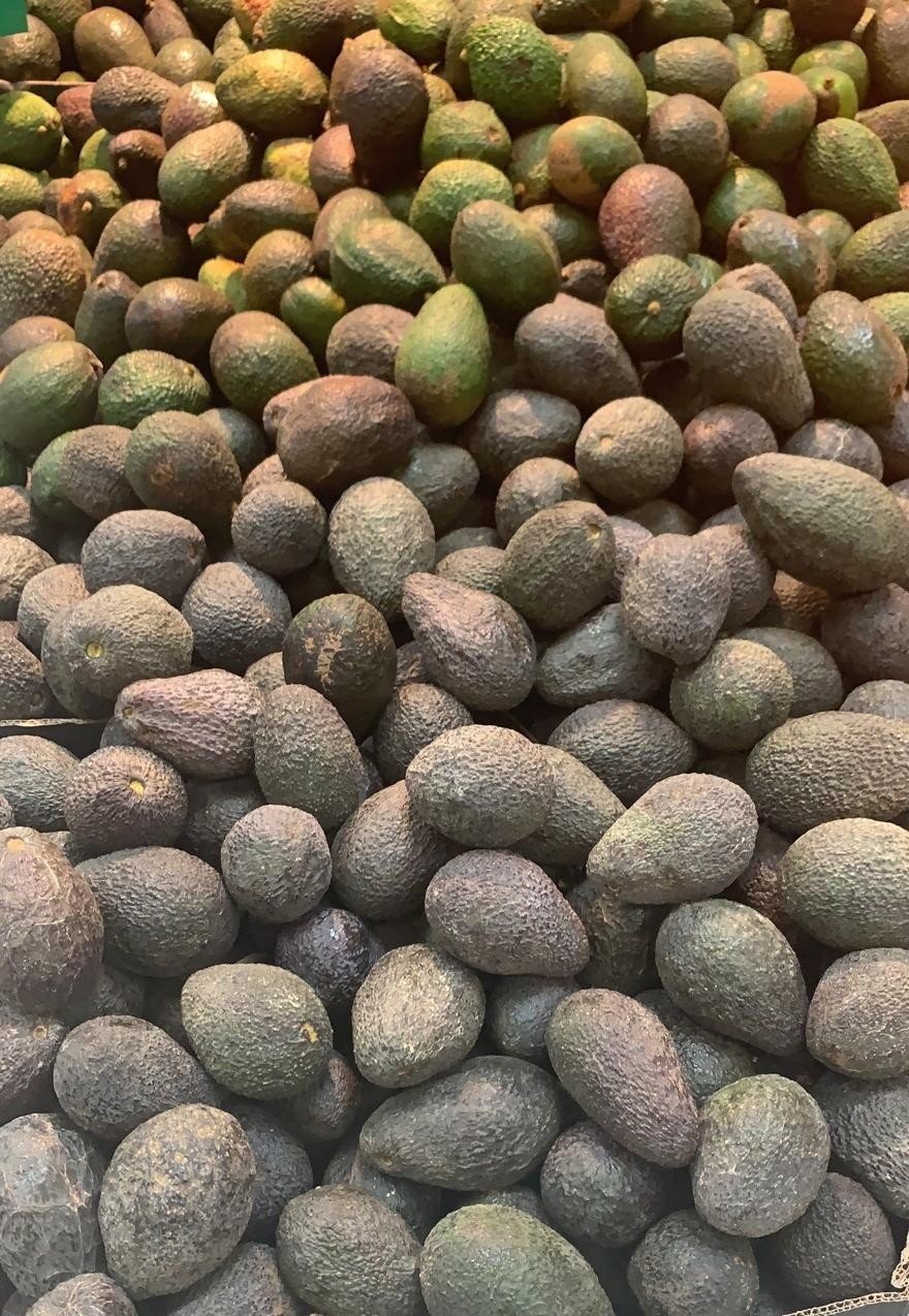 Los productores de aguacate prevén recolectar 60.000 toneladas esta temporada en España Los productores de aguacate prevén recolectar 60.000 toneladas esta temporada en España