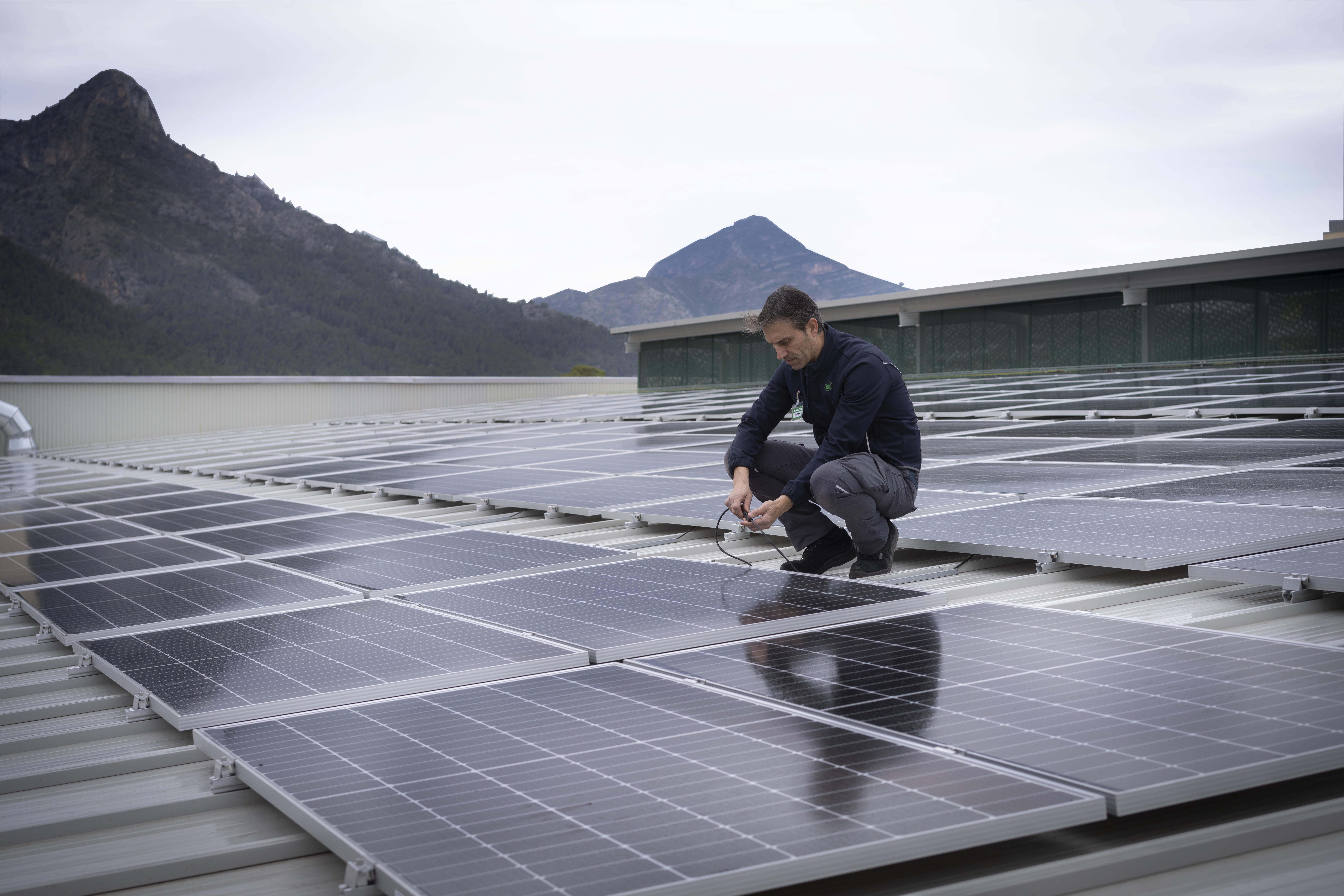 Mercadona multiplica per quatre la inversió en plaques solars i arriba als 60 milions