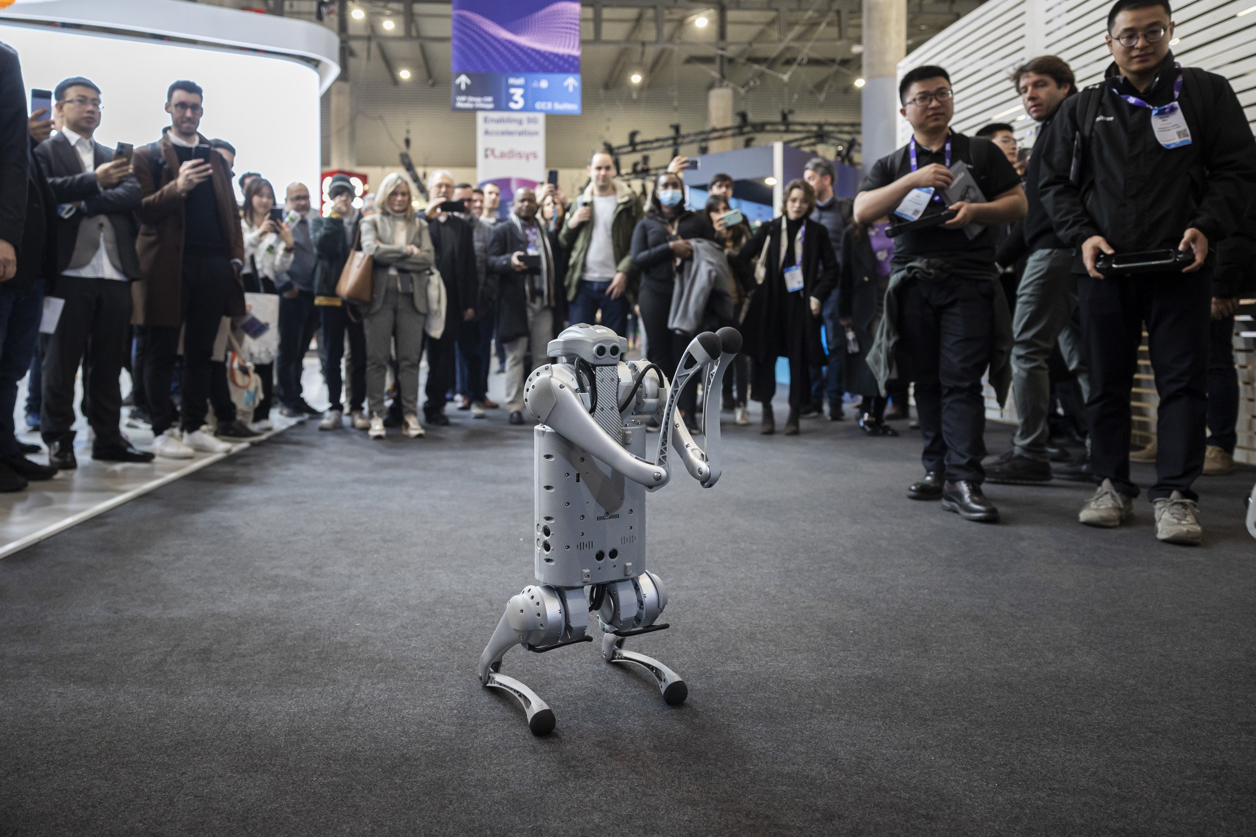 MWC gos robot / Foto: Montse Giralt