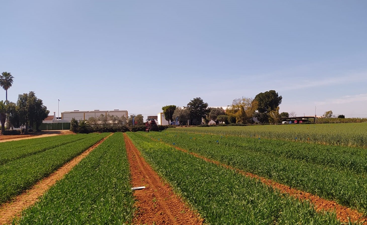 El agua, un bien escaso que altera los cultivos: así lo analiza el centro experimental de Bayer