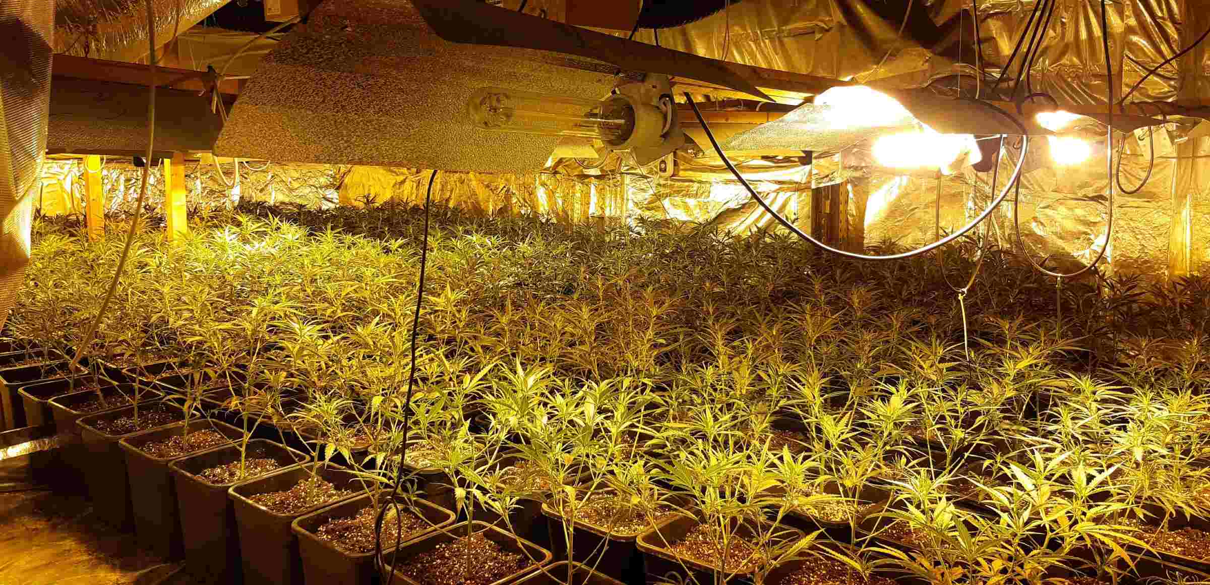 La ciutat andalusa que podria il·luminar-se cada any amb el consum il·legal de les plantacions de marihuana