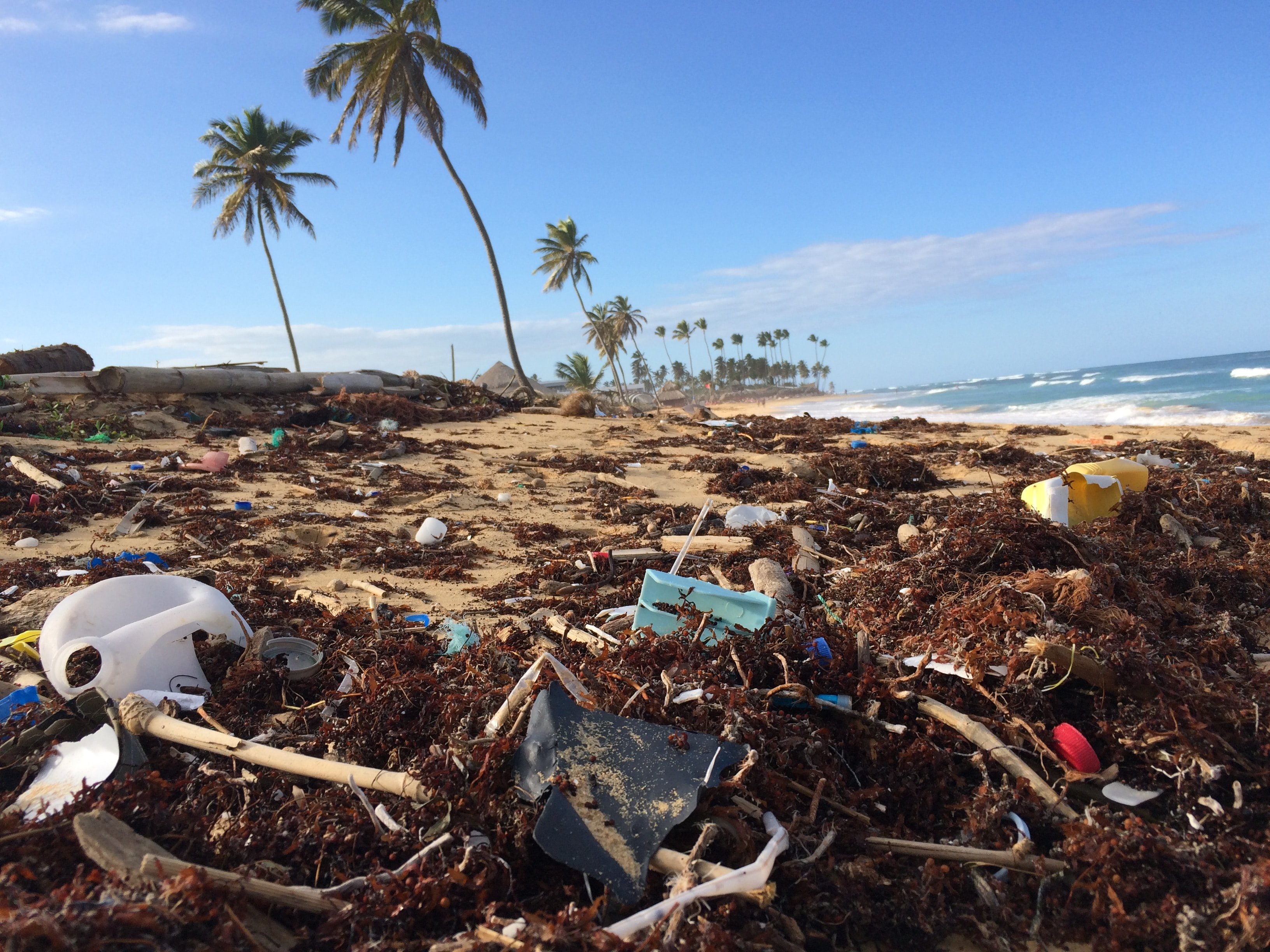 Cada any s'aboquen als oceans 1.012.500 tones de residus plàstics
