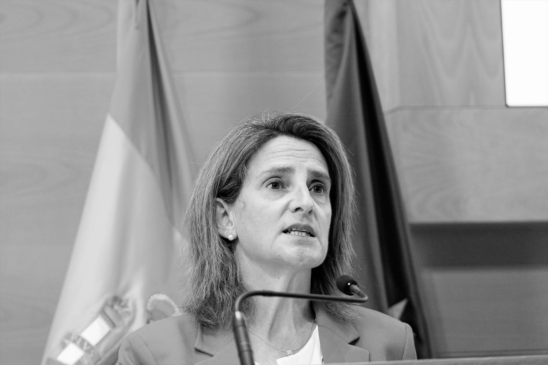 Teresa Ribera Teresa Ribera
