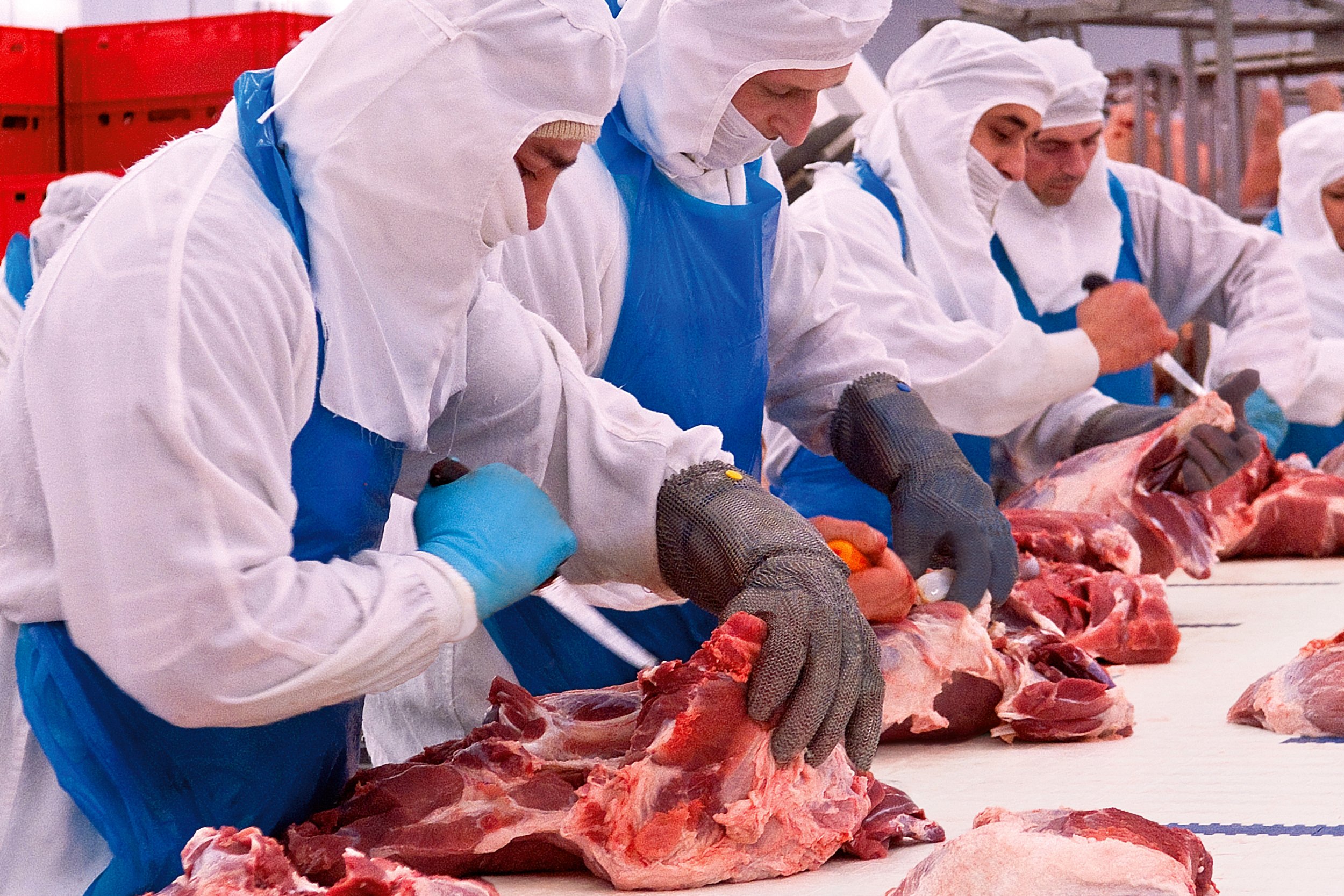 La sequera agreuja la crisi dels ramaders: "Els escorxadors es poden col·lapsar"