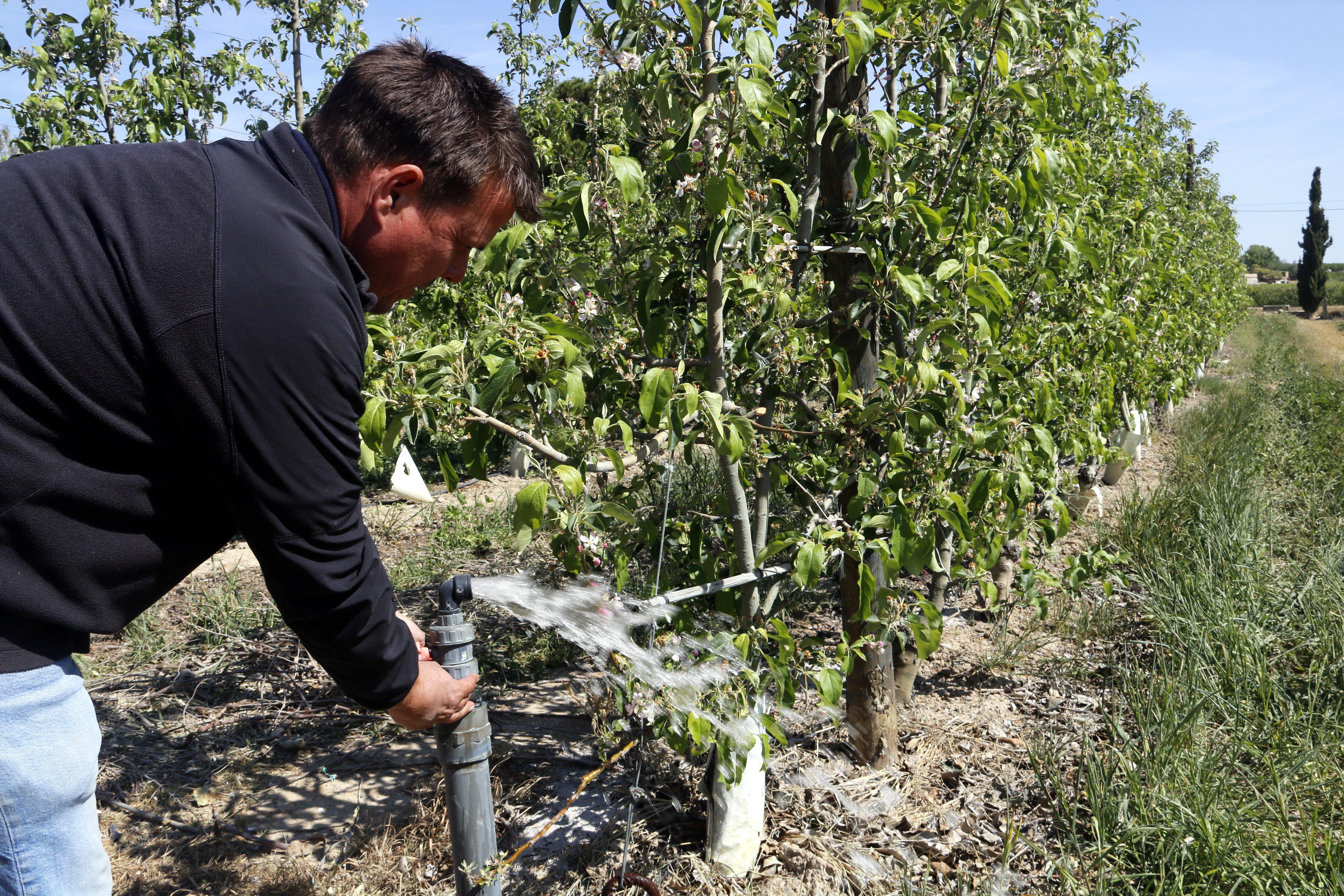 Éxodo en el campo por la sequía: un 24% de trabajadores agrarios renuncia al sector en Catalunya