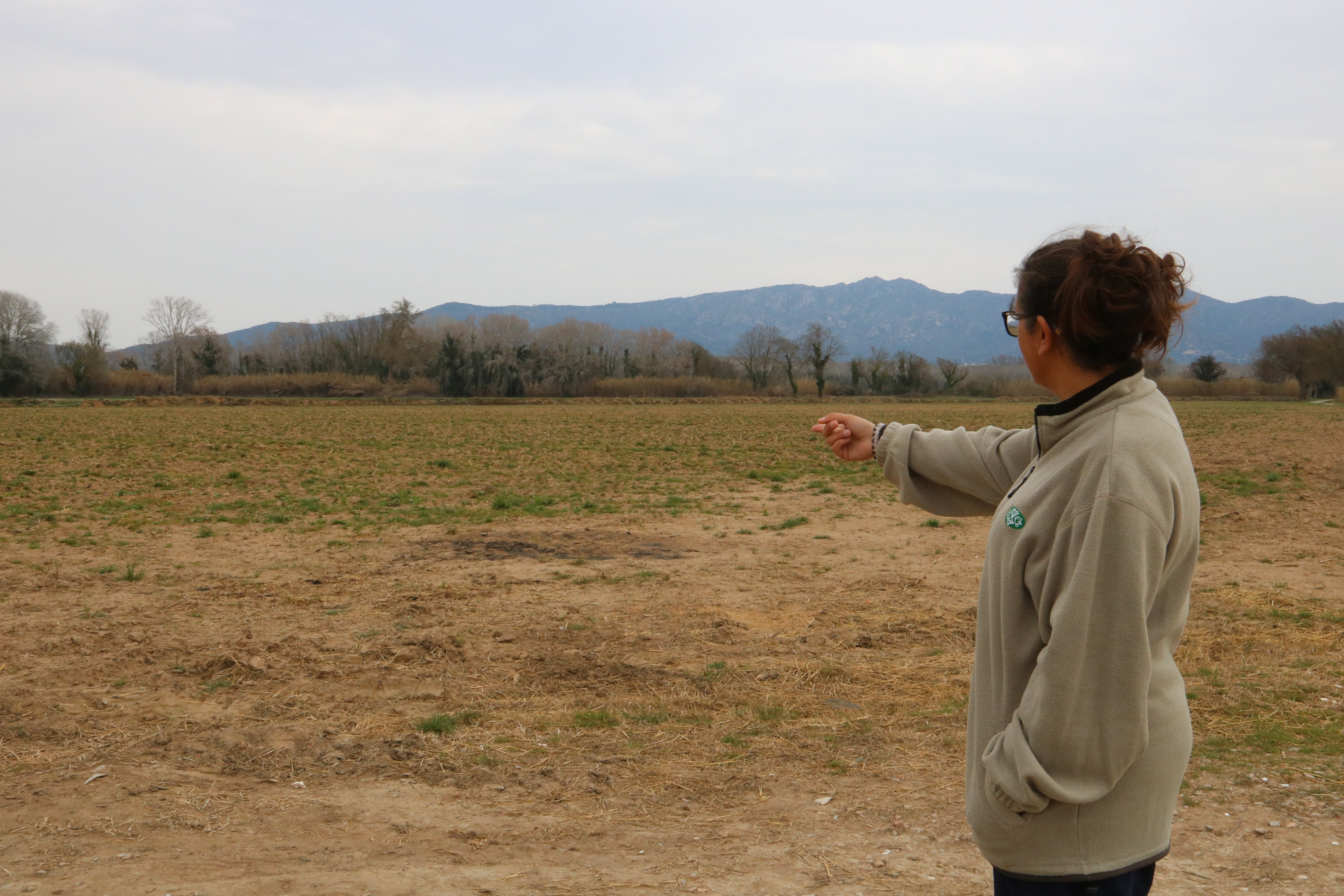 La sequía provoca prácticamente 10 millones de euros en pérdidas solo en Girona