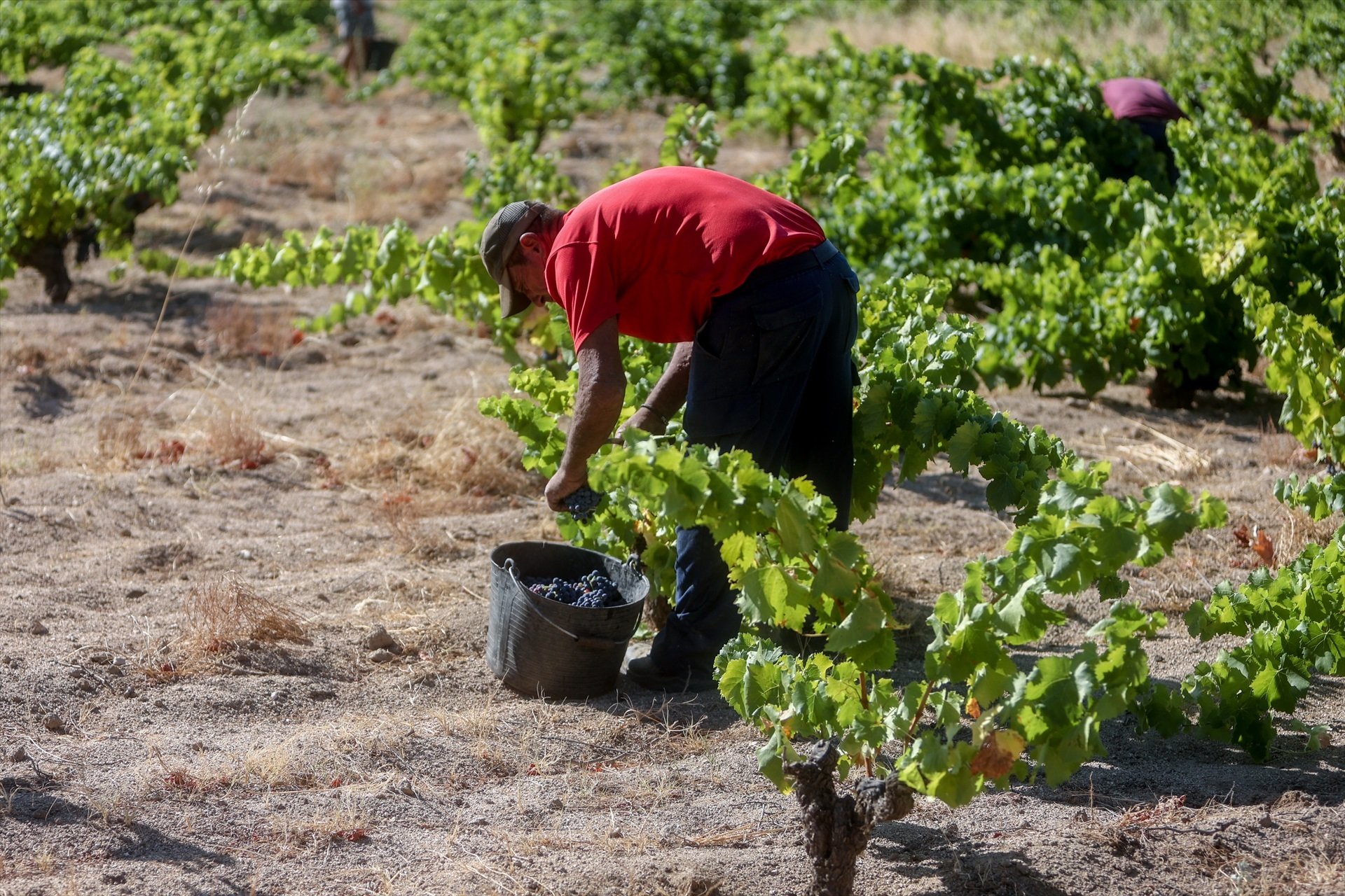 Así funciona la prohibición de trabajar al aire libre que entra en vigor este sábado