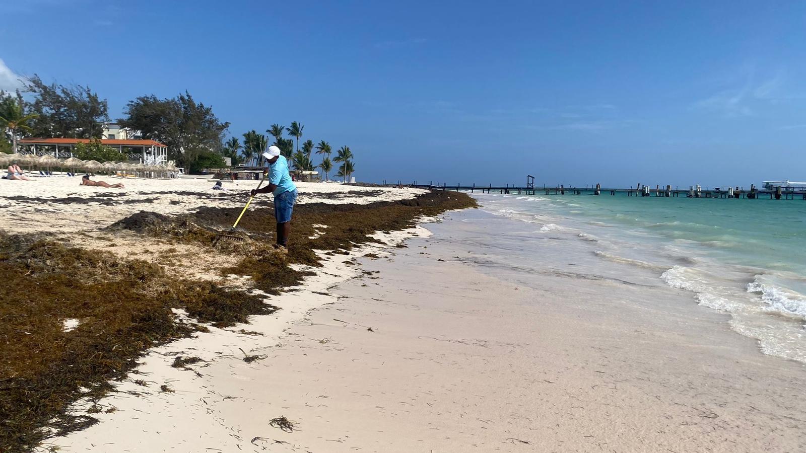 Sargazo en una playa de Punta Cana (República Dominicana). Foto: Marta Beltrán