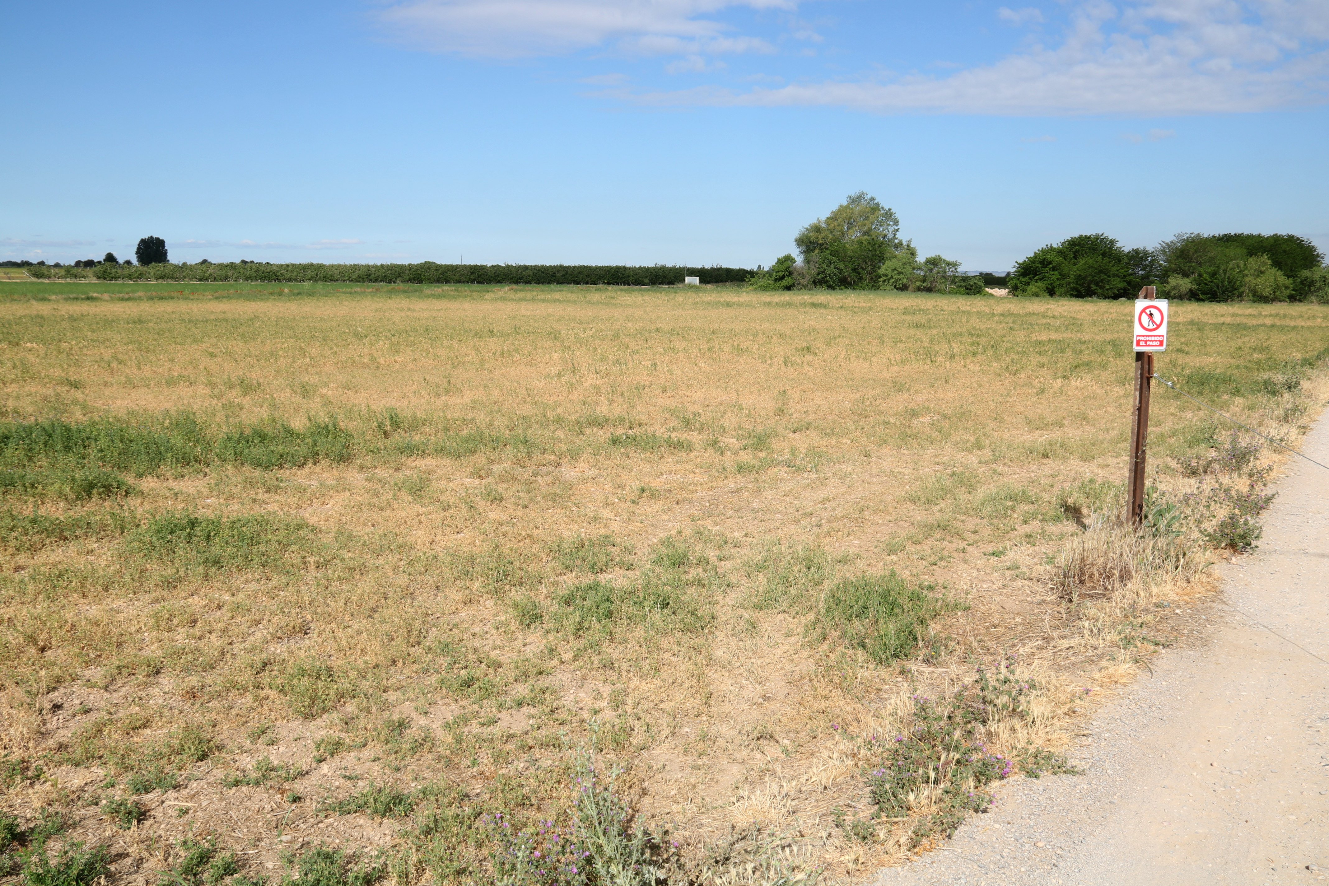 El Govern destinarà 687,8 milions a la nova programació de desenvolupament rural fins a 2027