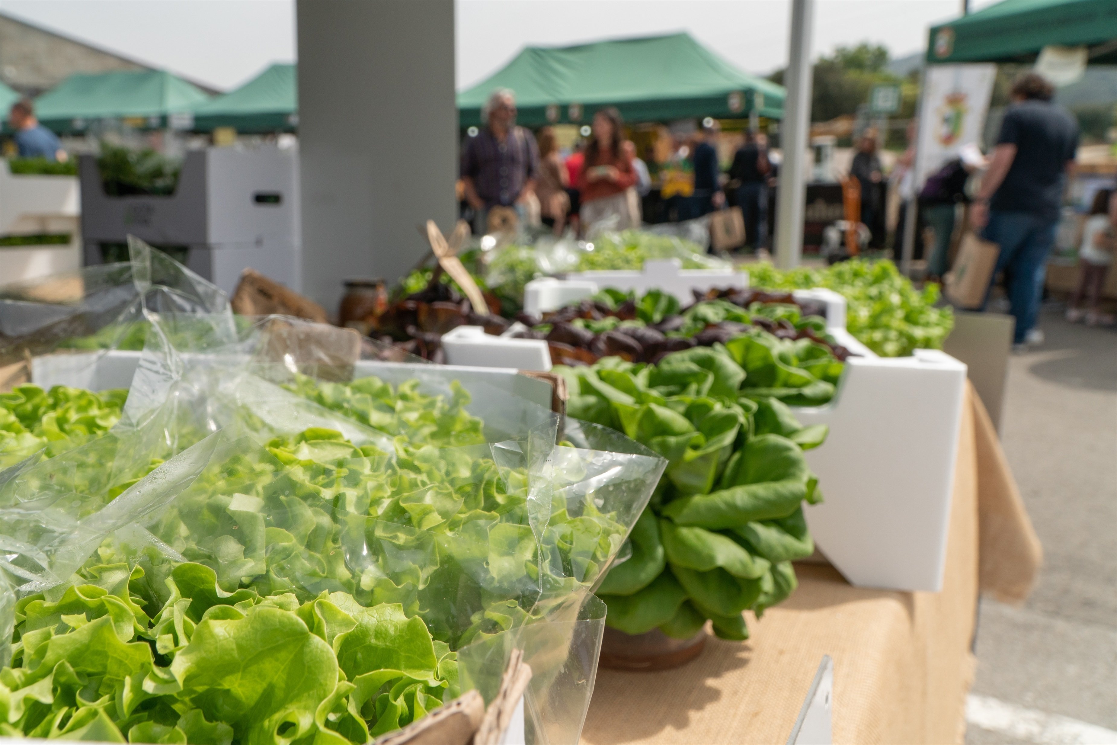 El sector agroalimentari aporta més de 110.100 milions a l'economia en un any marcat per la inflació